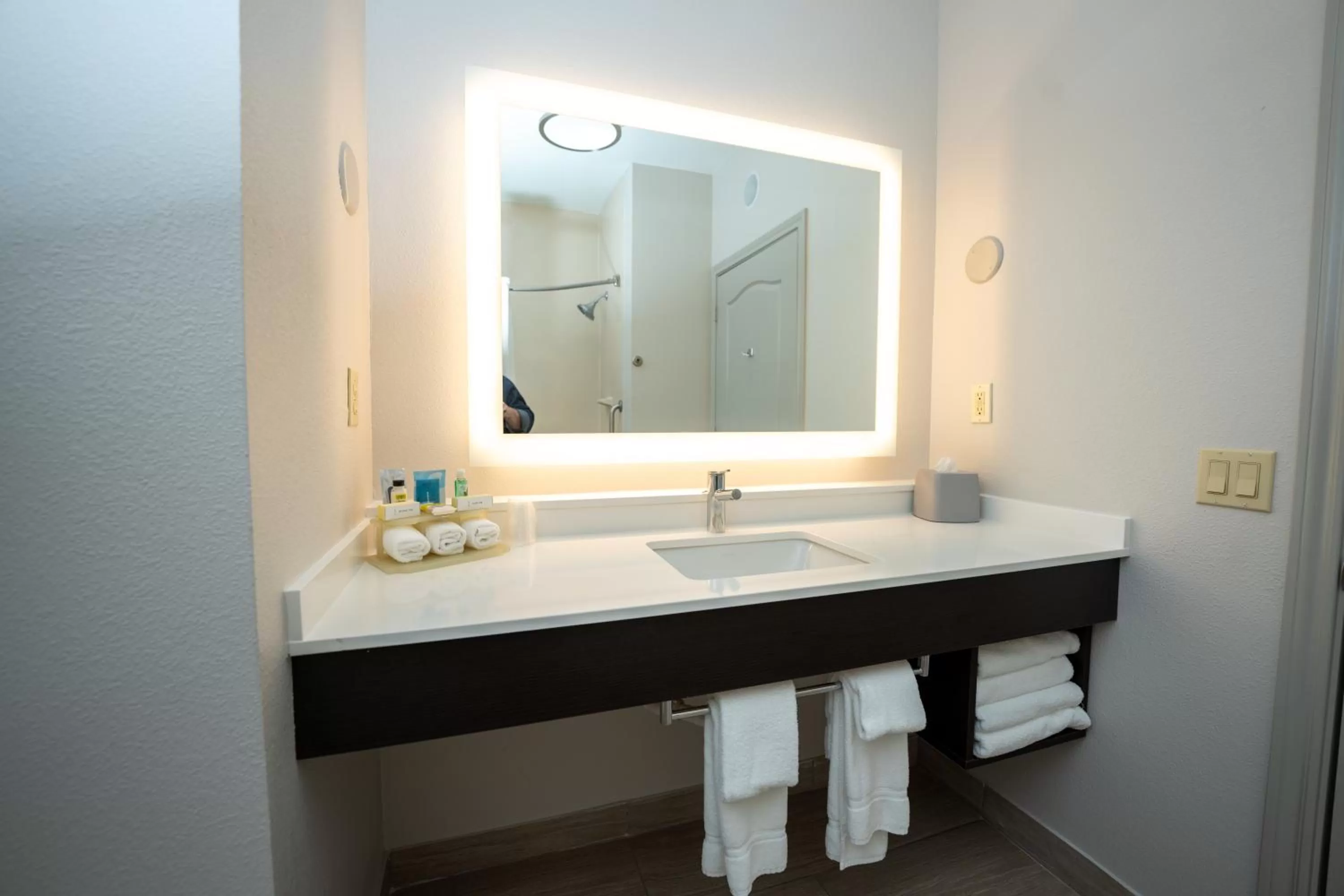 Executive King Suite in Holiday Inn Express & Suites Deer Park by IHG