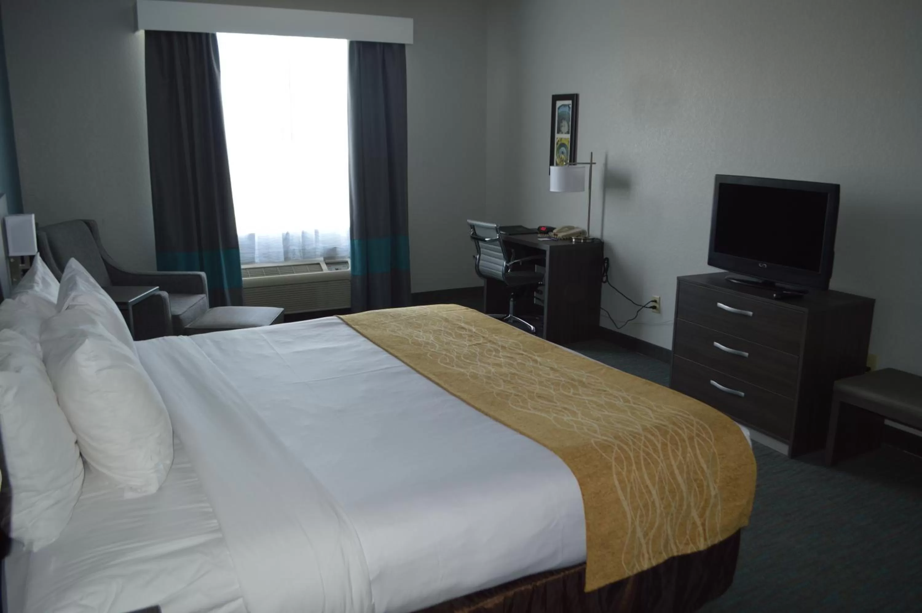King Room with Roll-In Shower - Accessible/Non-Smoking in Comfort Inn & Suites Selma near Randolph AFB