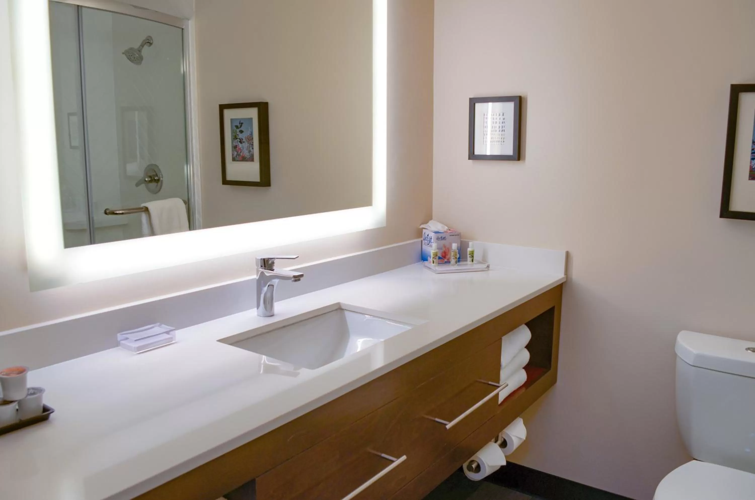 Standard Queen Room with Two Queen Beds in Holiday Inn Mobile West I-10 by IHG