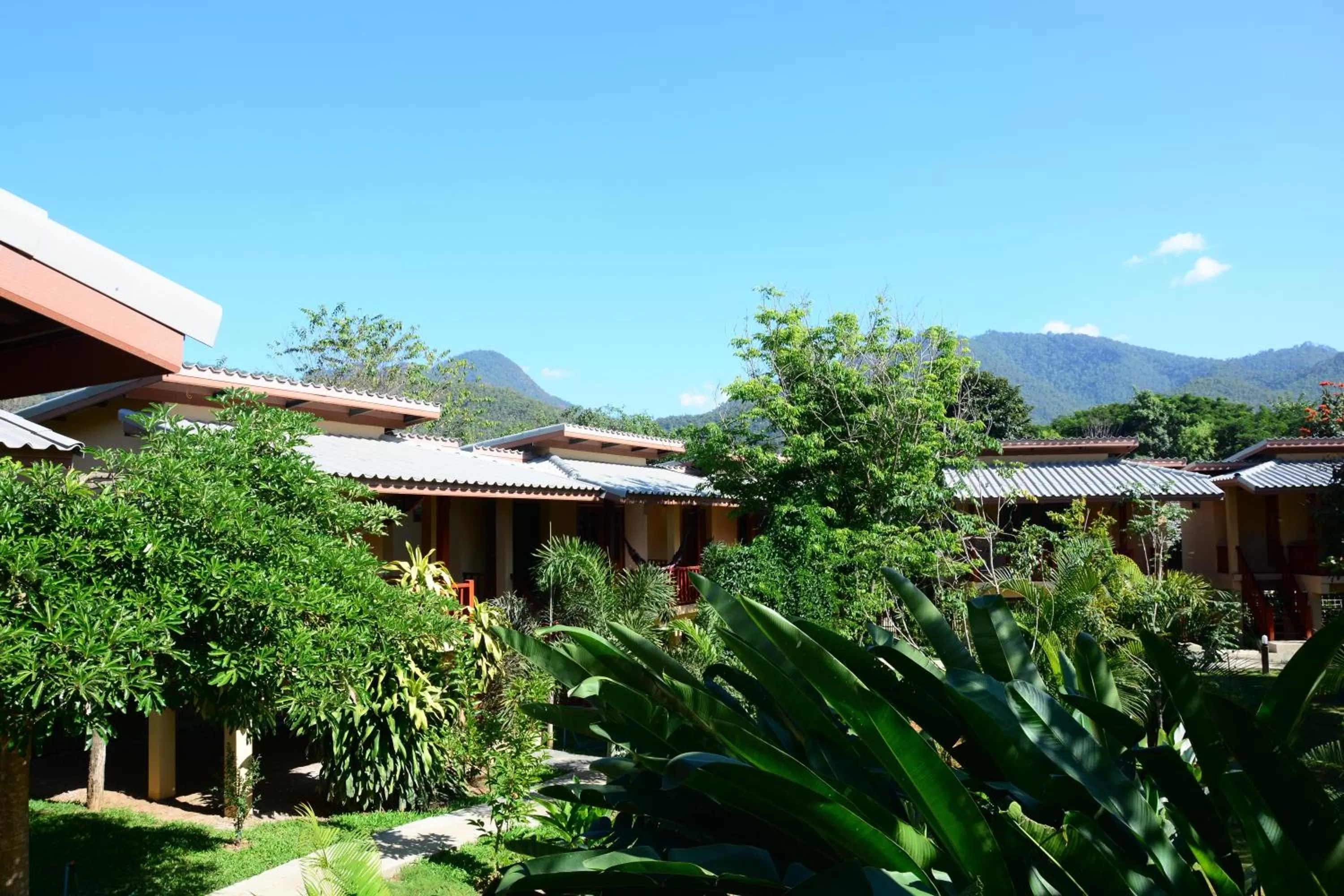 View (from property/room) in Pai Loess Resort