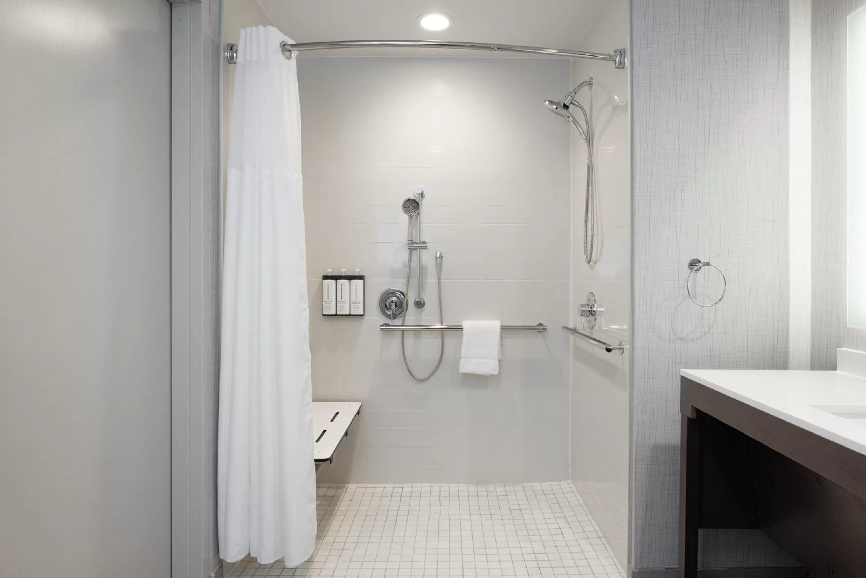 King Room with Sofa Bed and Roll-In Shower - Disability Access in Hyatt Place San Carlos