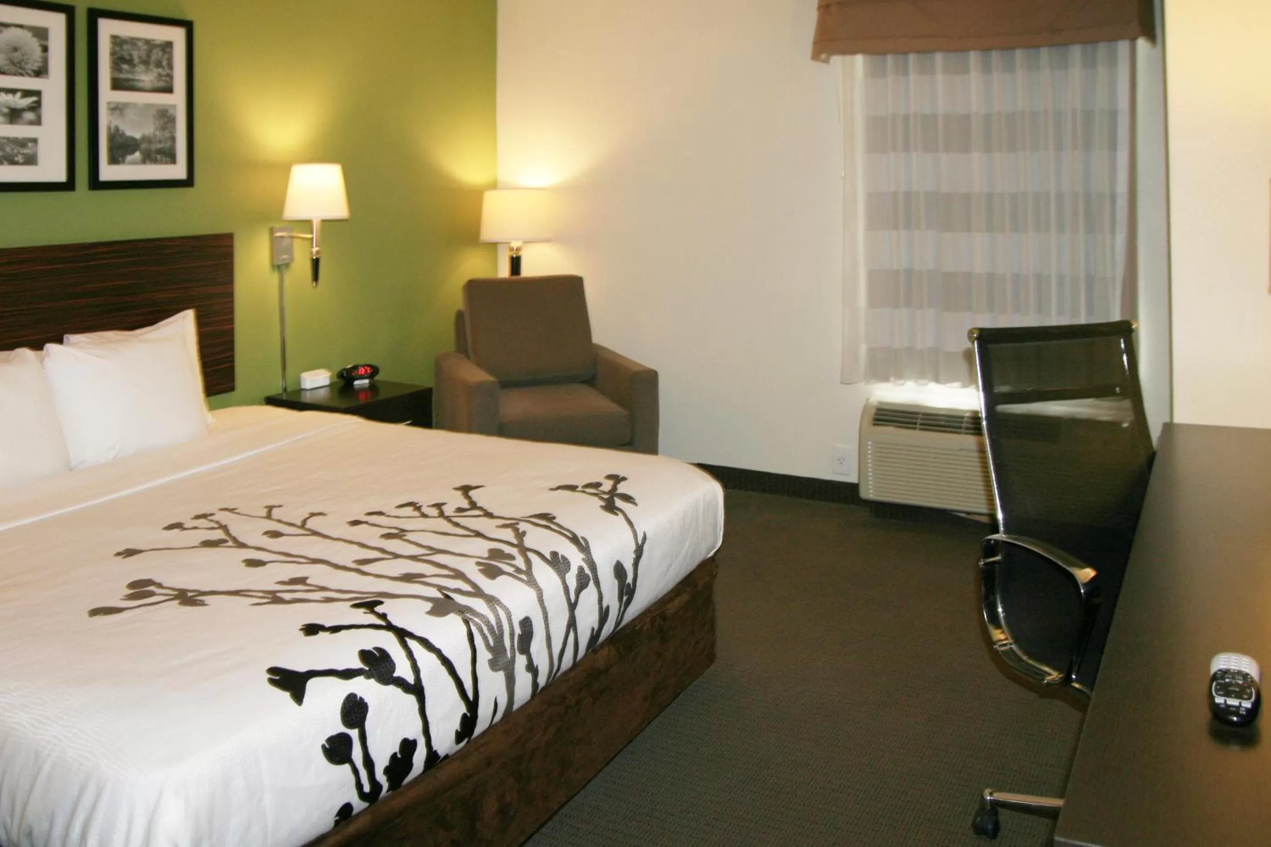 King Room - Non-Smoking in Sleep Inn & Suites Stony Creek - Petersburg South