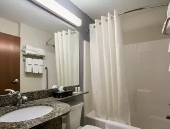 One-Bedroom Suite - Disability Access/Non-Smoking in Microtel Inn & Suites by Wyndham Stanley