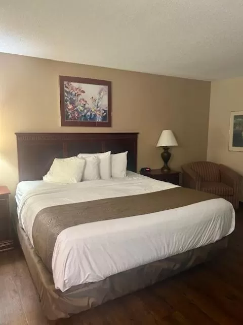King Room - Non-Smoking in Baymont by Wyndham Battle Creek/I-94