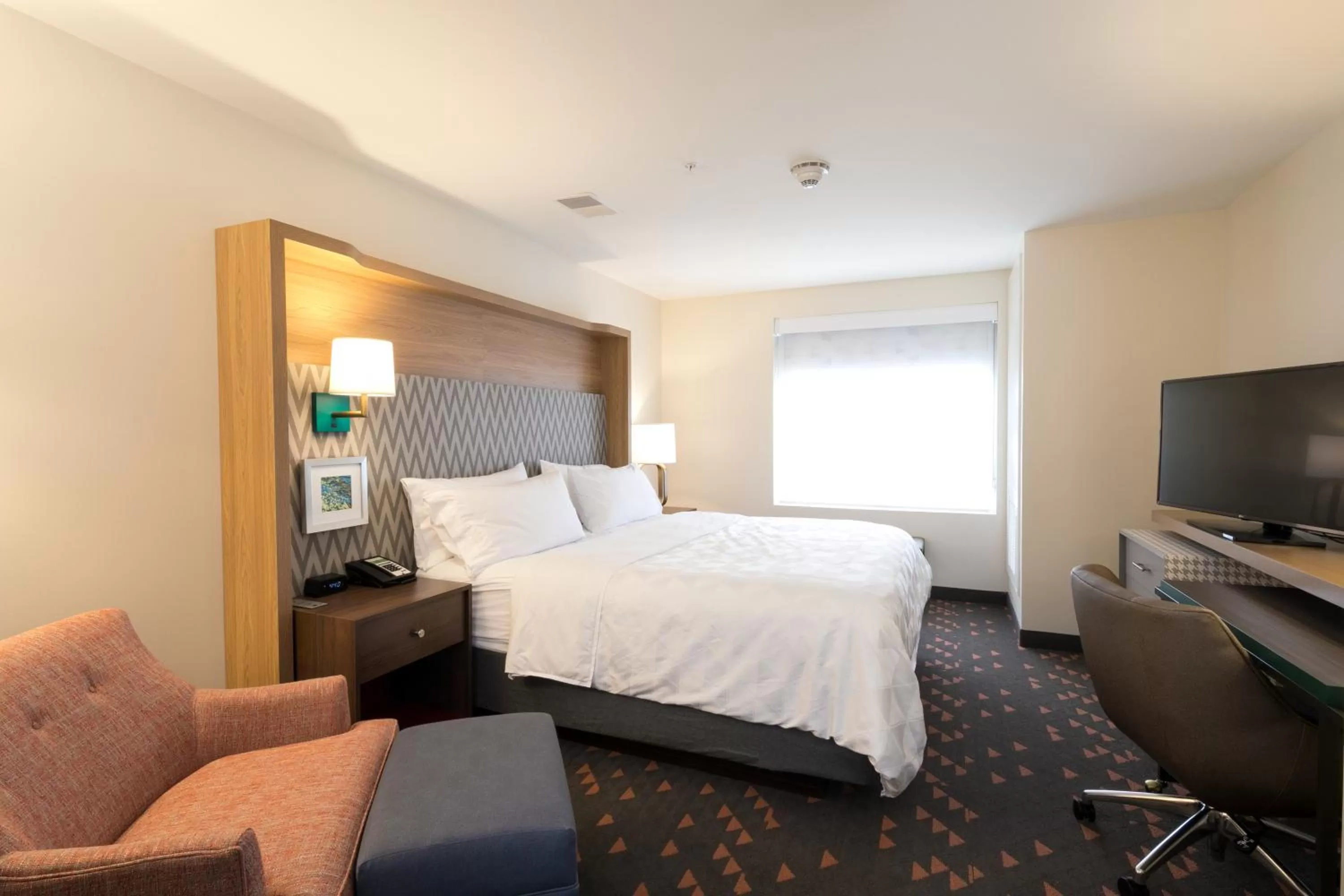 Standard King Room in Holiday Inn & Suites Detroit - Troy by IHG