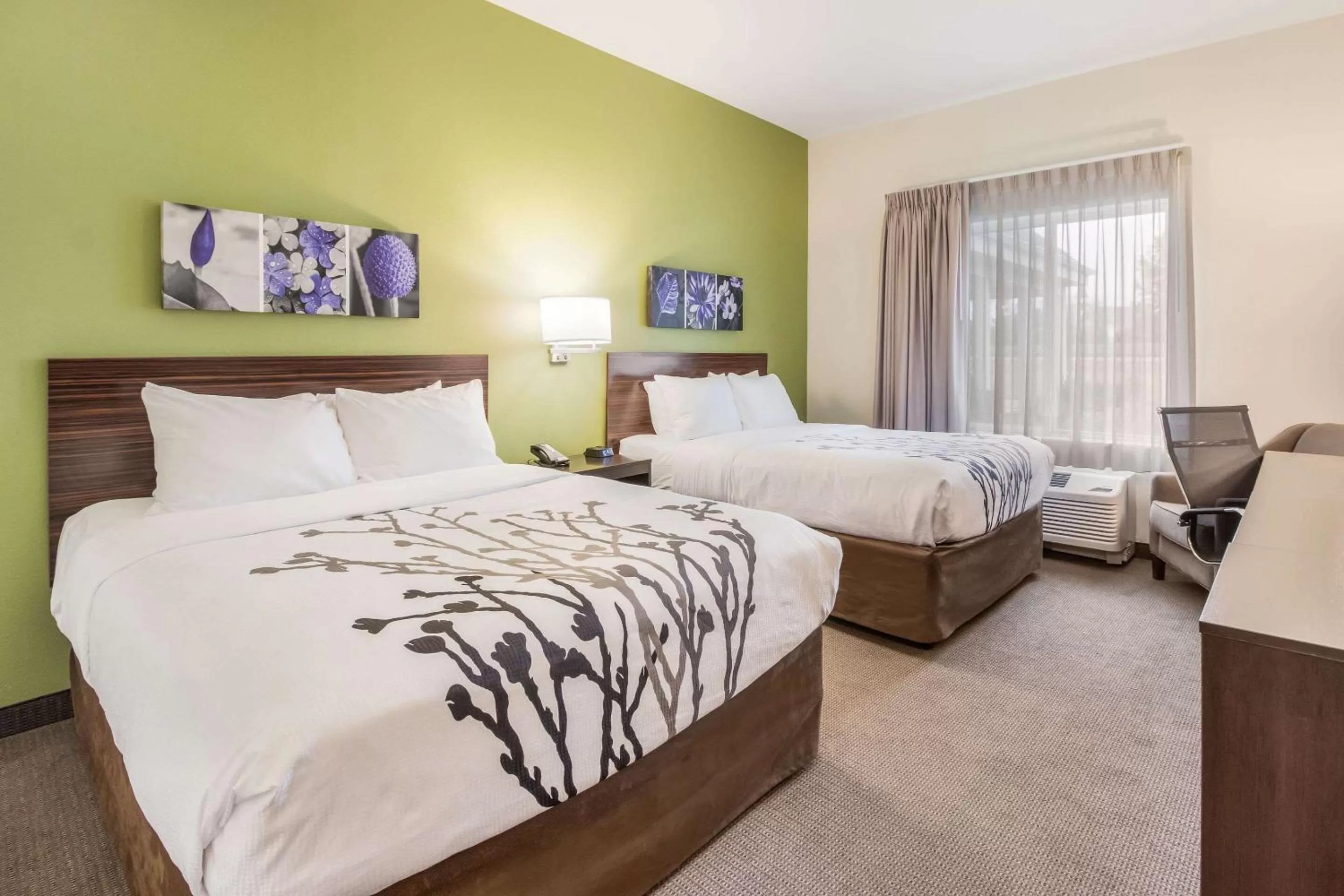 Queen Room with Two Queen Beds - Non-Smoking in Sleep Inn