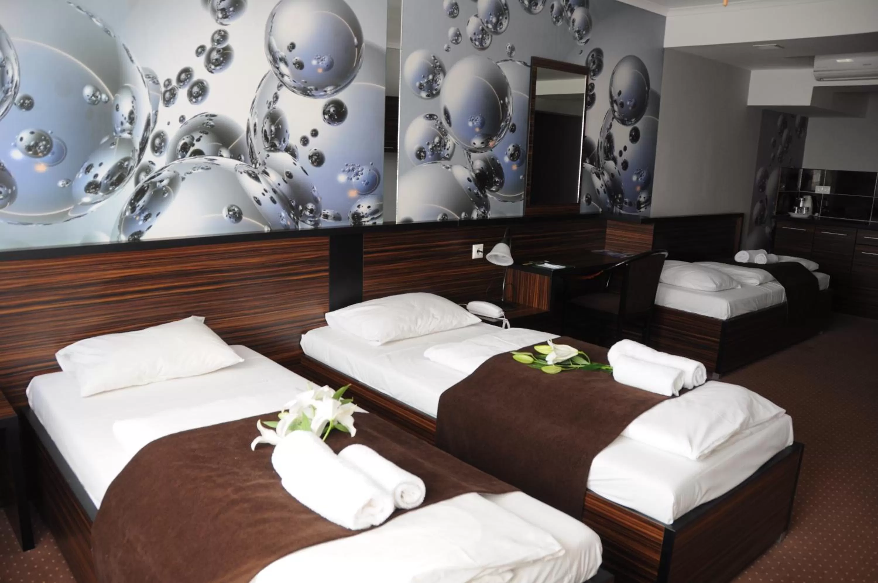 Superior Double or Twin Room in Green Hotel Budapest