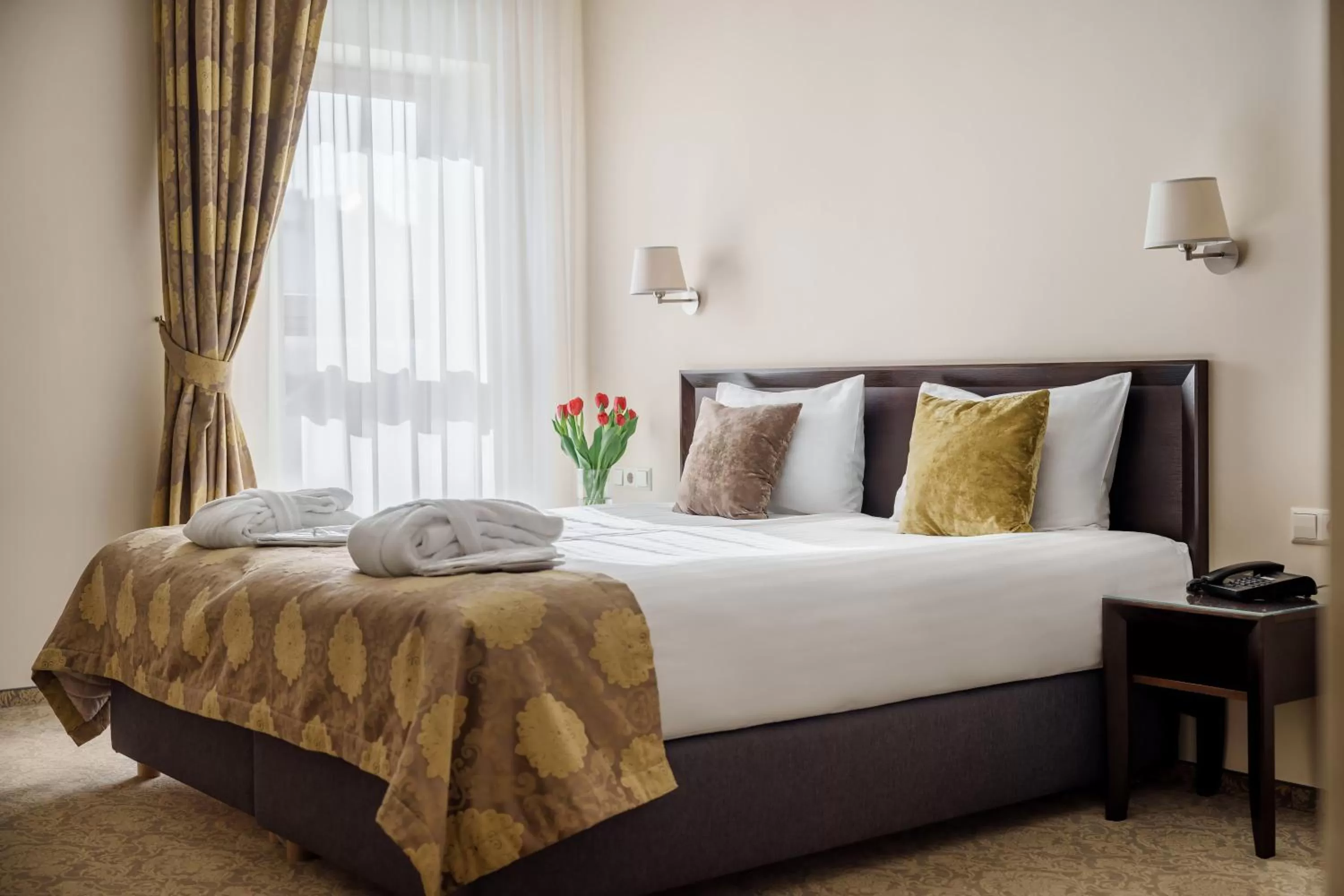 Business Double or Twin Room - single occupancy in Euterpe Hotel