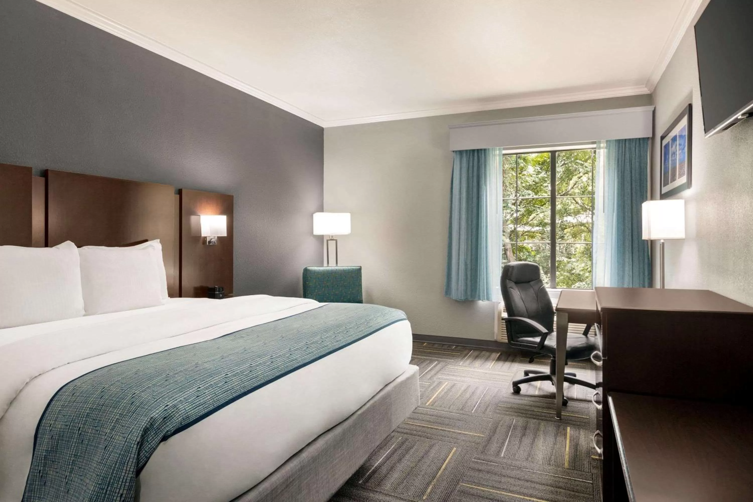 King Room Non Smoking in La Quinta by Wyndham Dublin