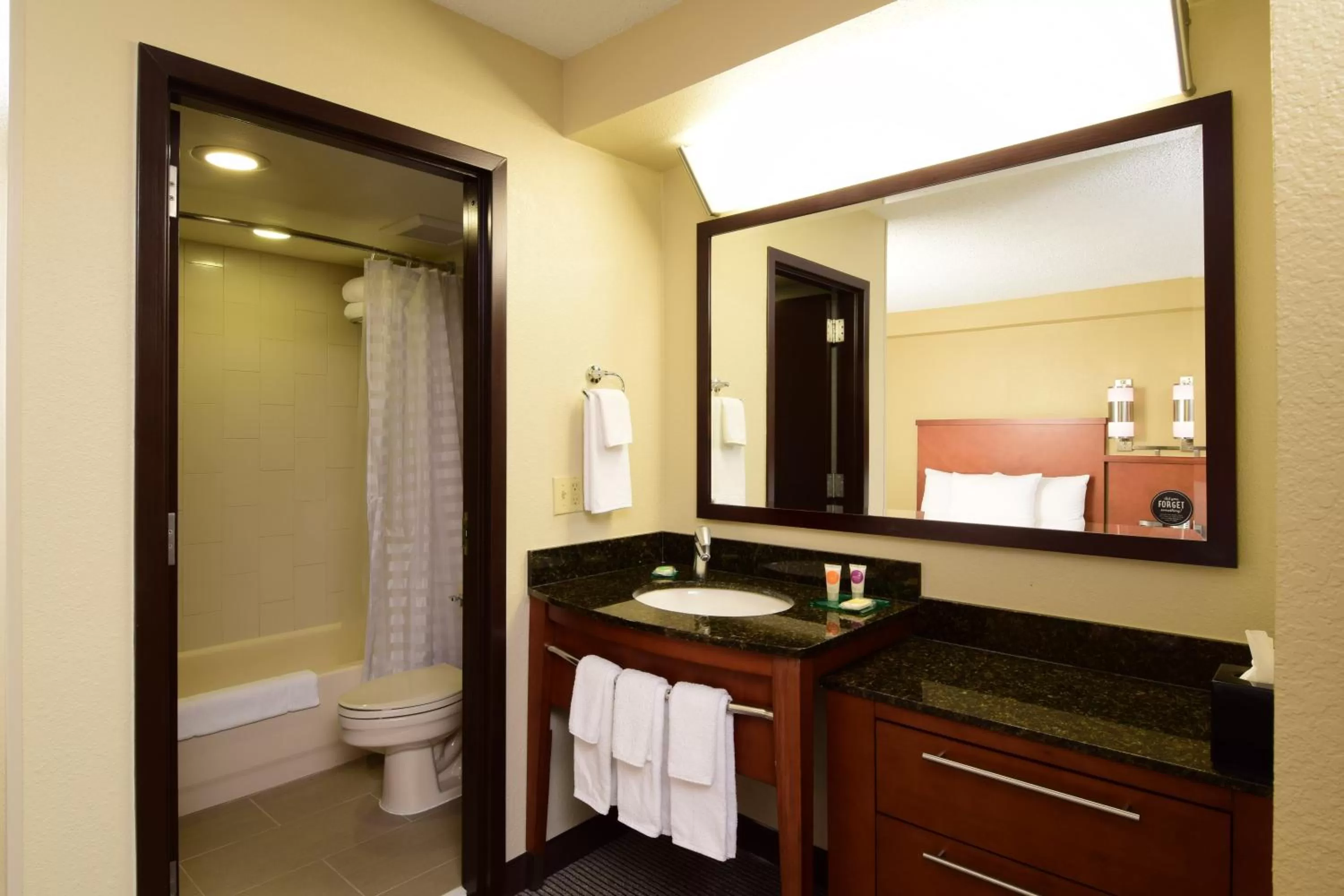 King Room with Accessible Tub - Disability Access in Hyatt Place Dallas Las Colinas
