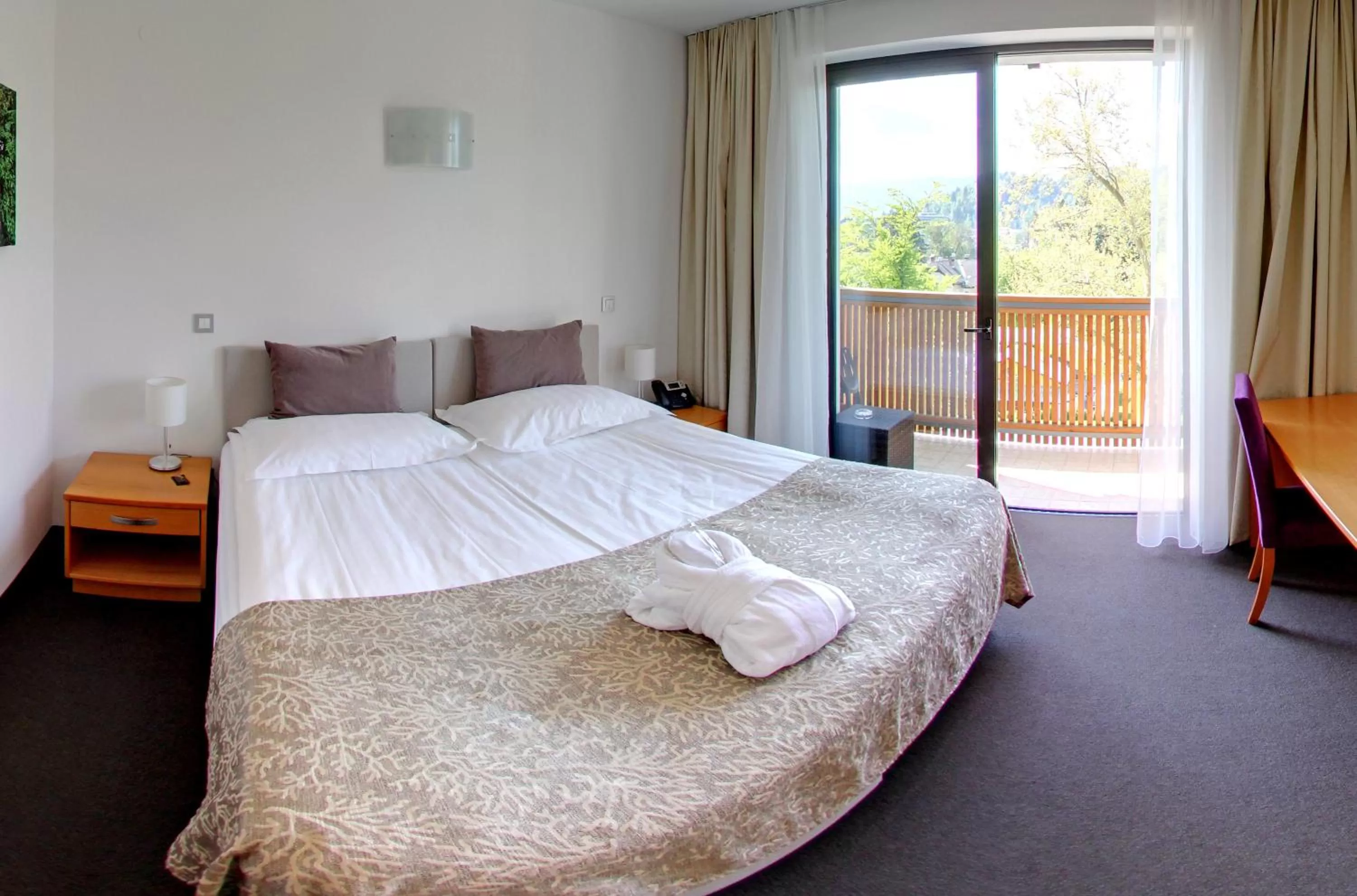 Double or Twin Room with Balcony in Hotel Astoria Superior