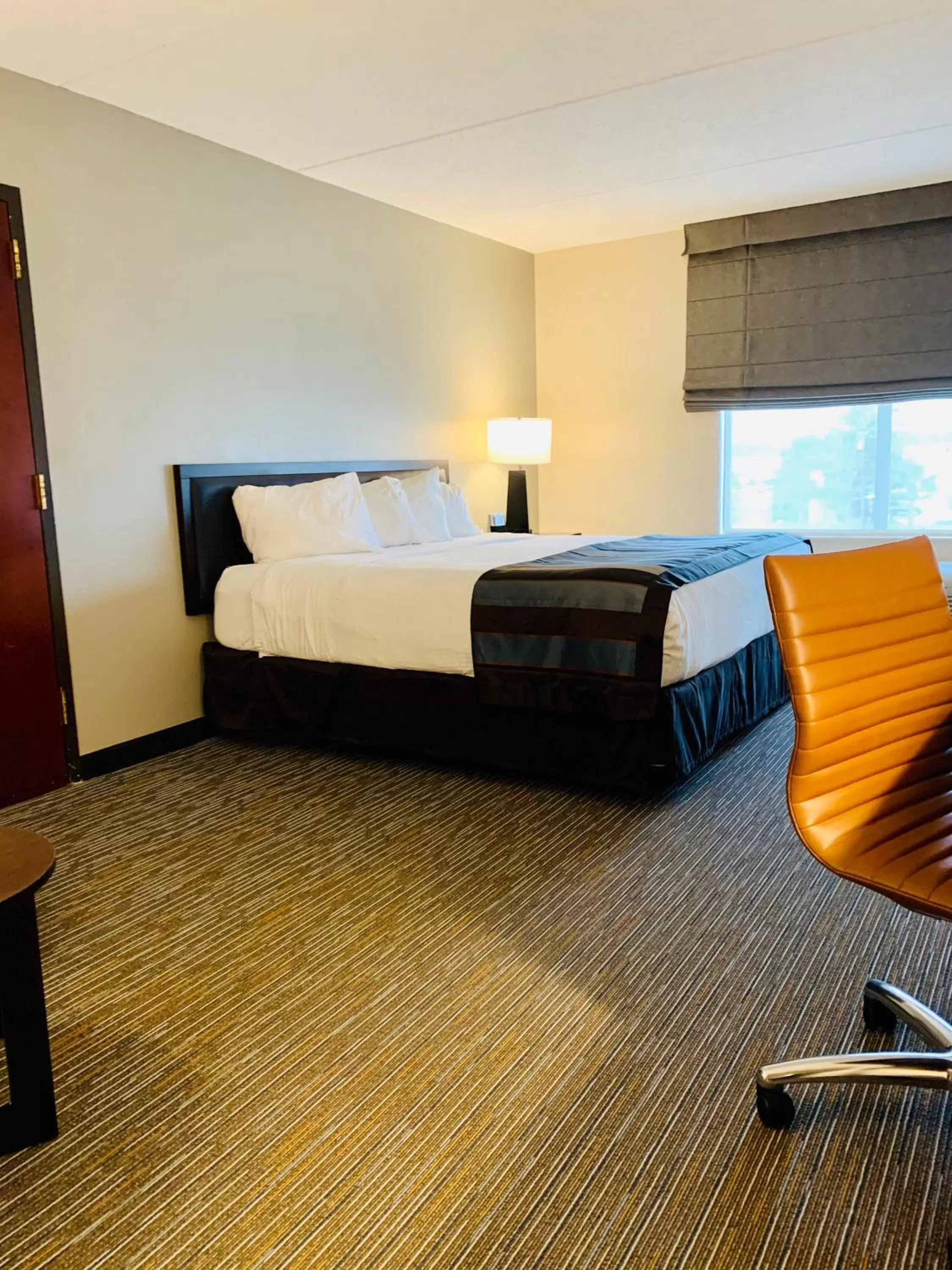 King Room - Disability Access - Non-Smoking in Wingate by Wyndham Wilmington