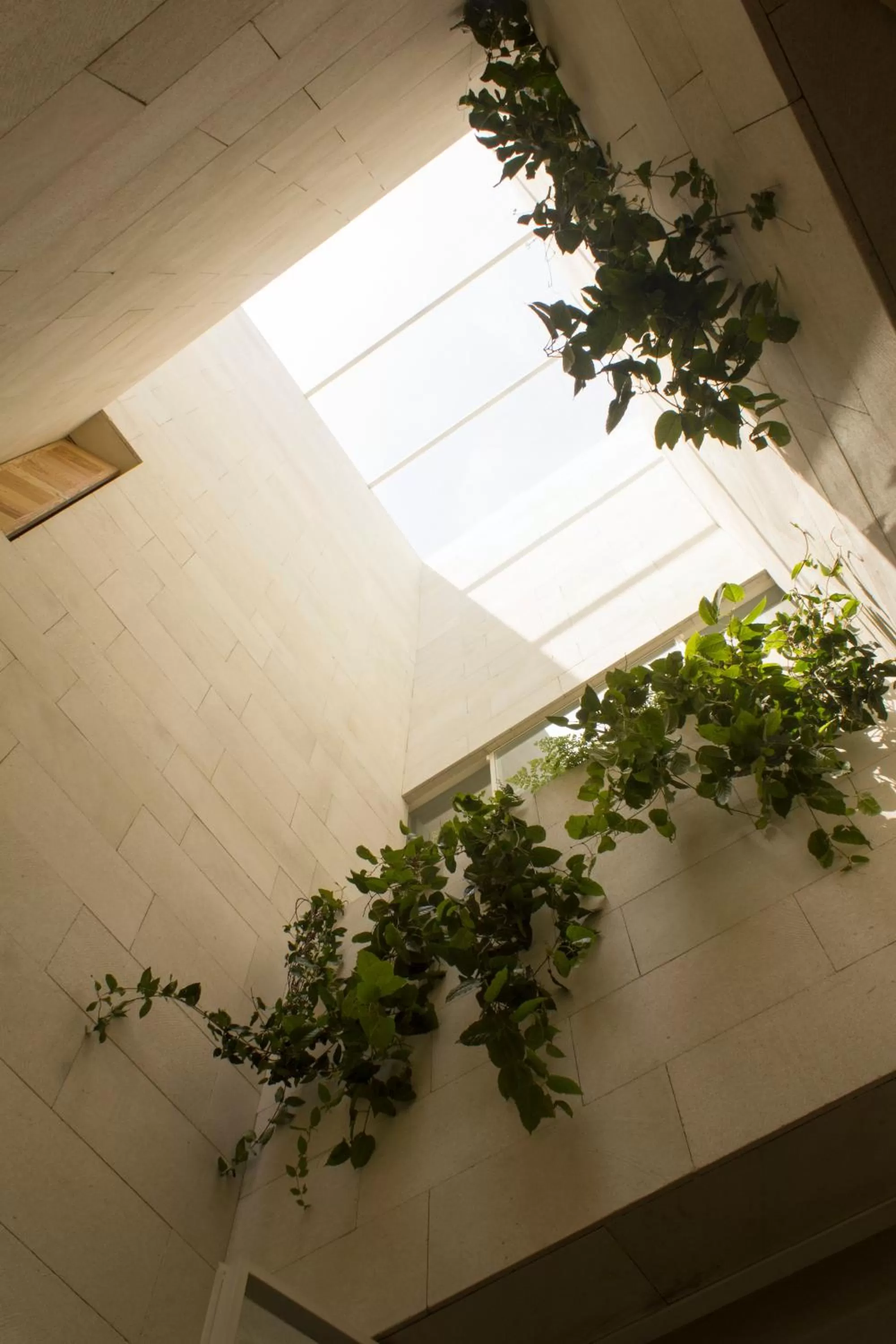 Double Room with Patio in Círculo Mexicano, a Member of Design Hotels