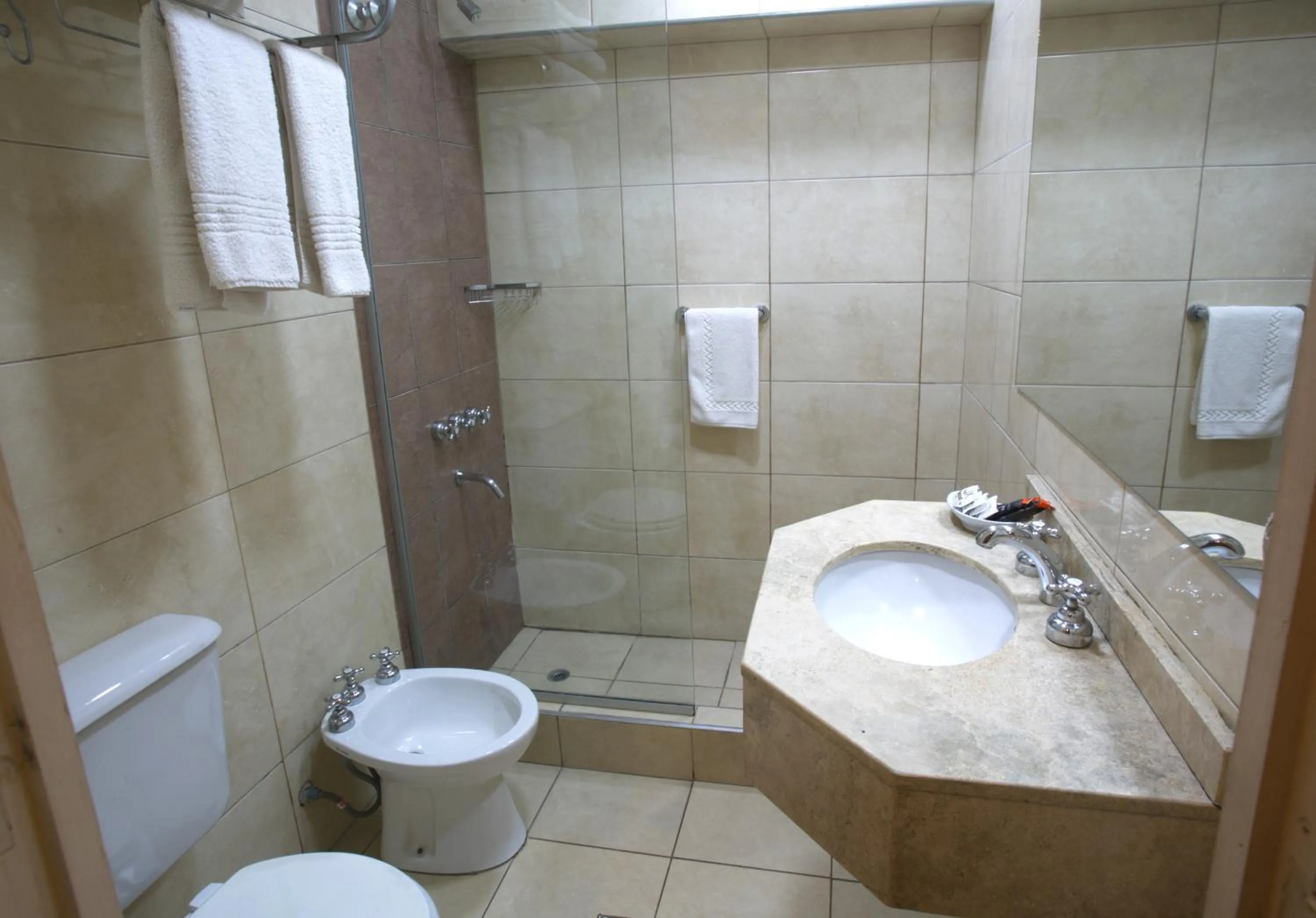 Double Room in Ritz Hotel Mendoza