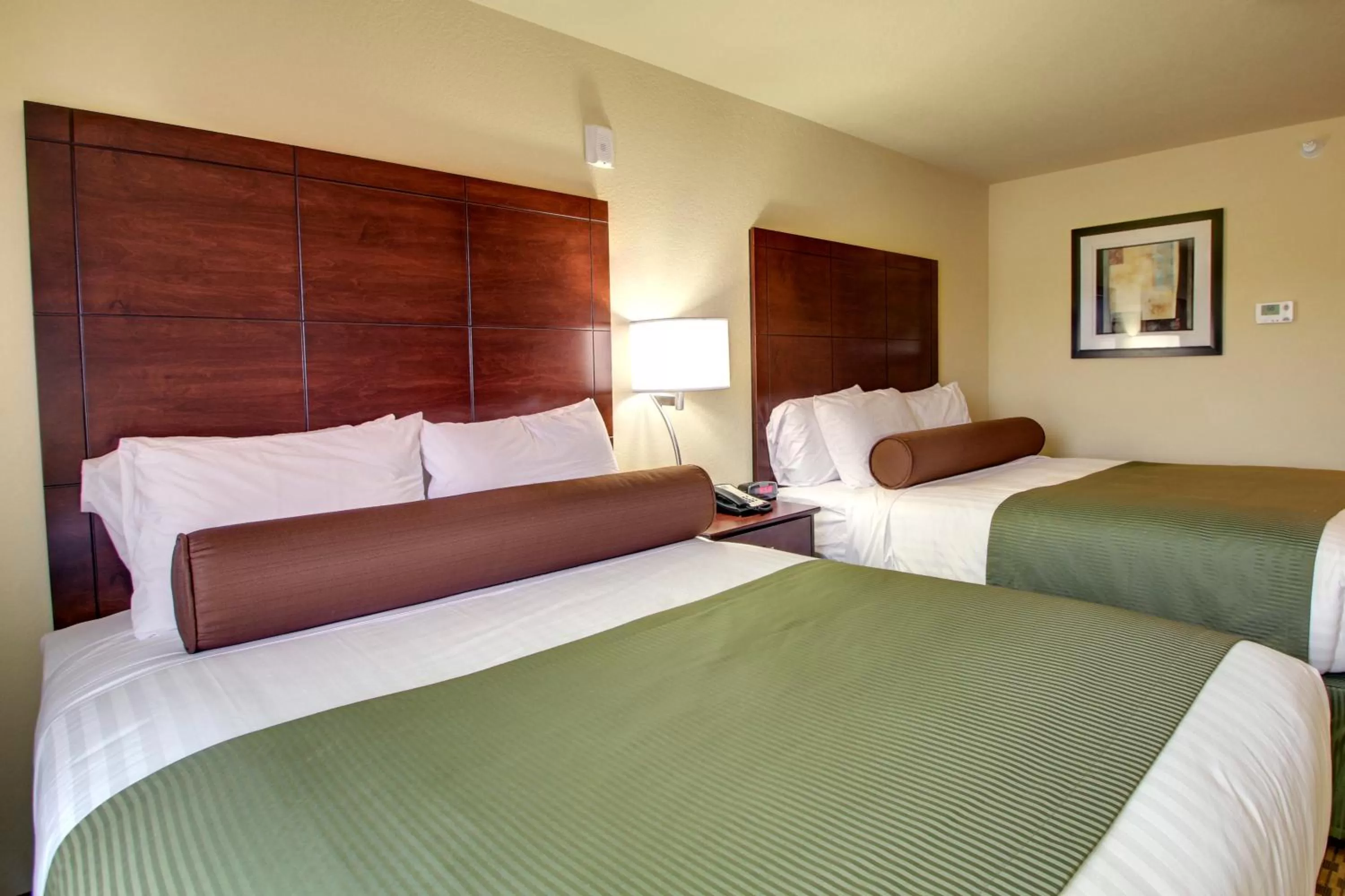 Deluxe Queen Room in Cobblestone Inn & Suites Steele