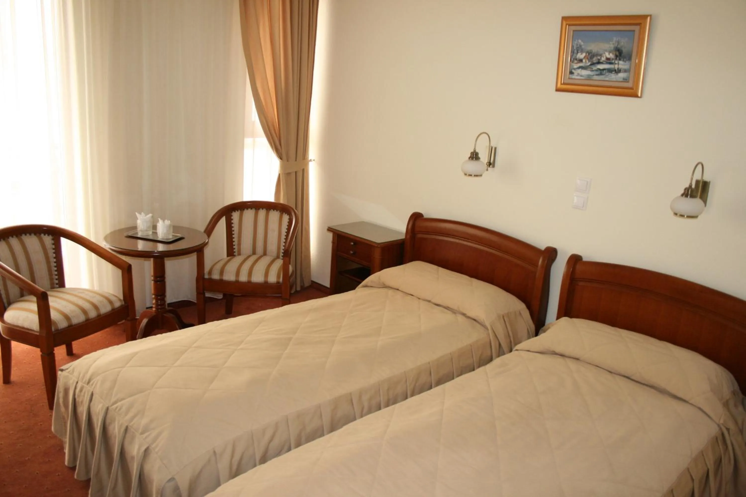 Double or Twin Room - single occupancy in Hotel Sarmis