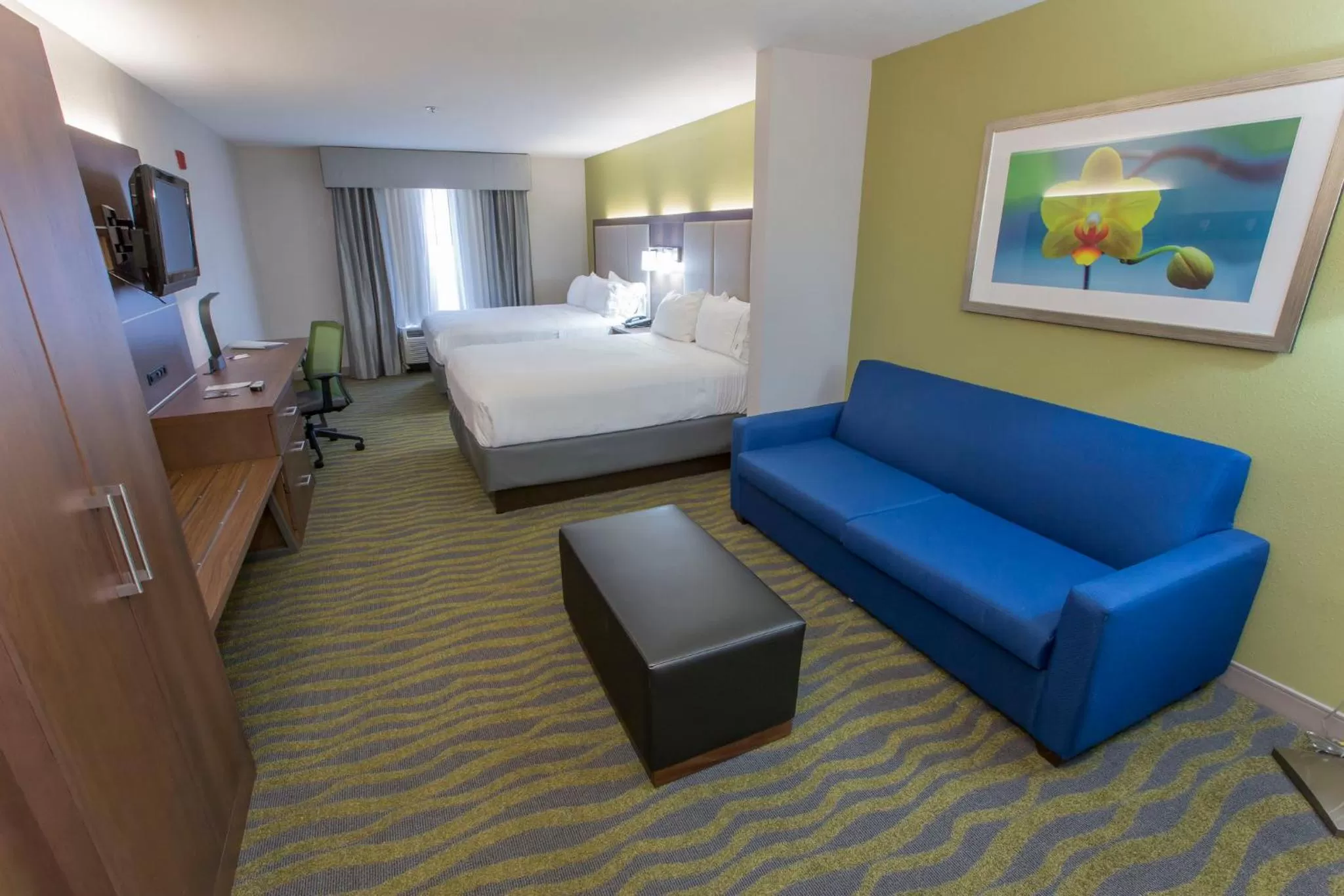 Queen Suite with Sofa Bed in Holiday Inn Express Hotel & Suites McDonough, an IHG Hotel