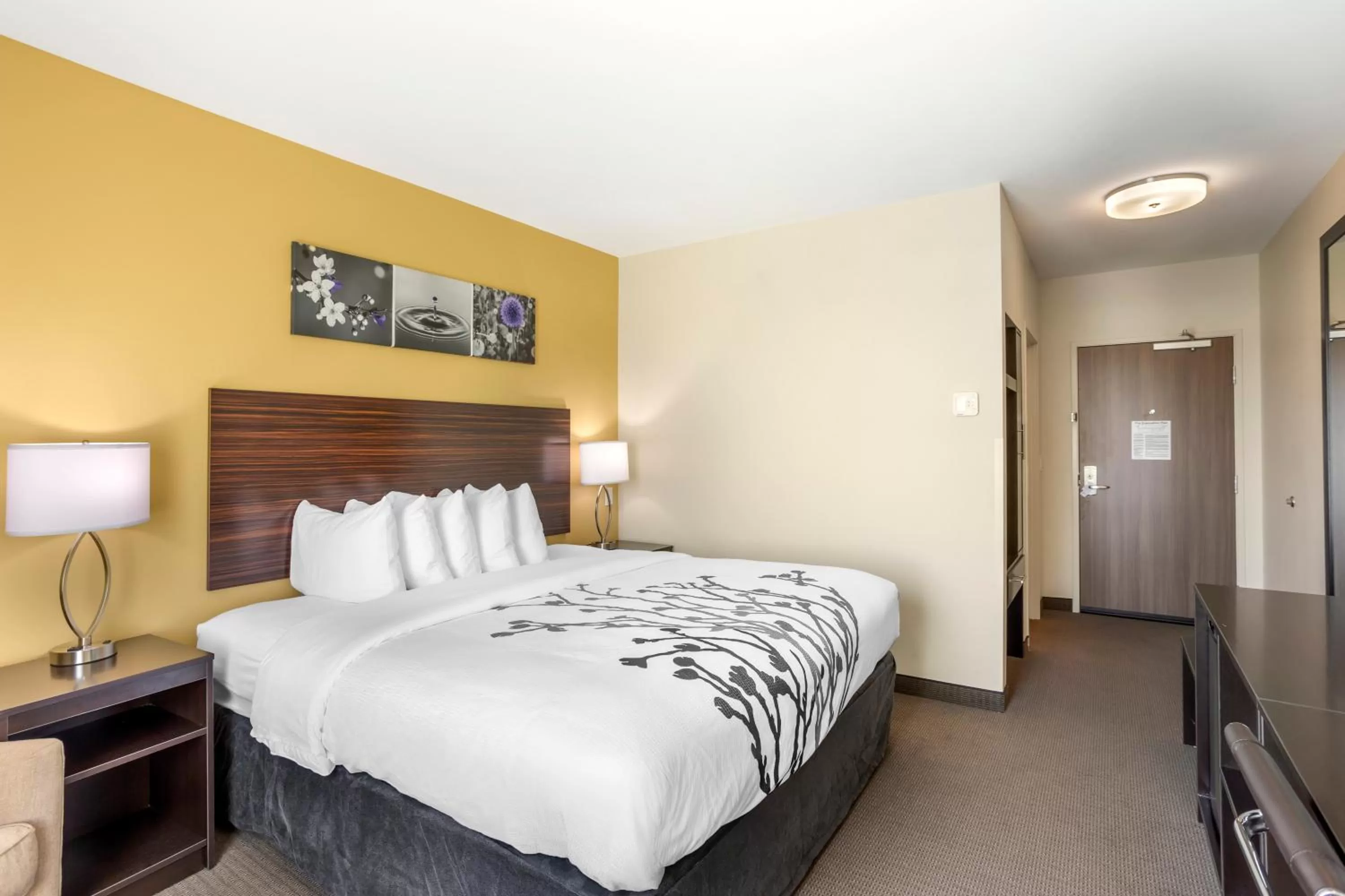 King Room - Non Smoking in Sleep Inn North - Central York