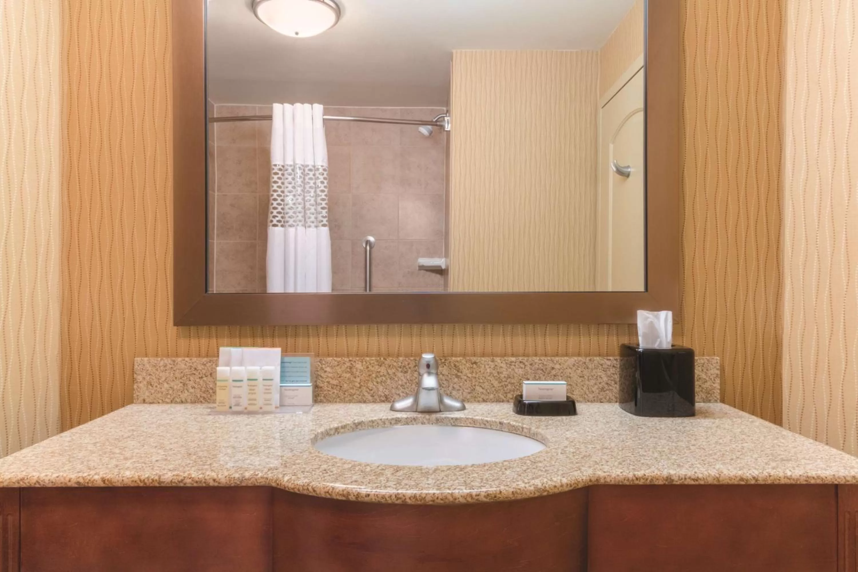 King Room - Disability Access/Non-Smoking in Hampton Inn by Hilton Edmonton South