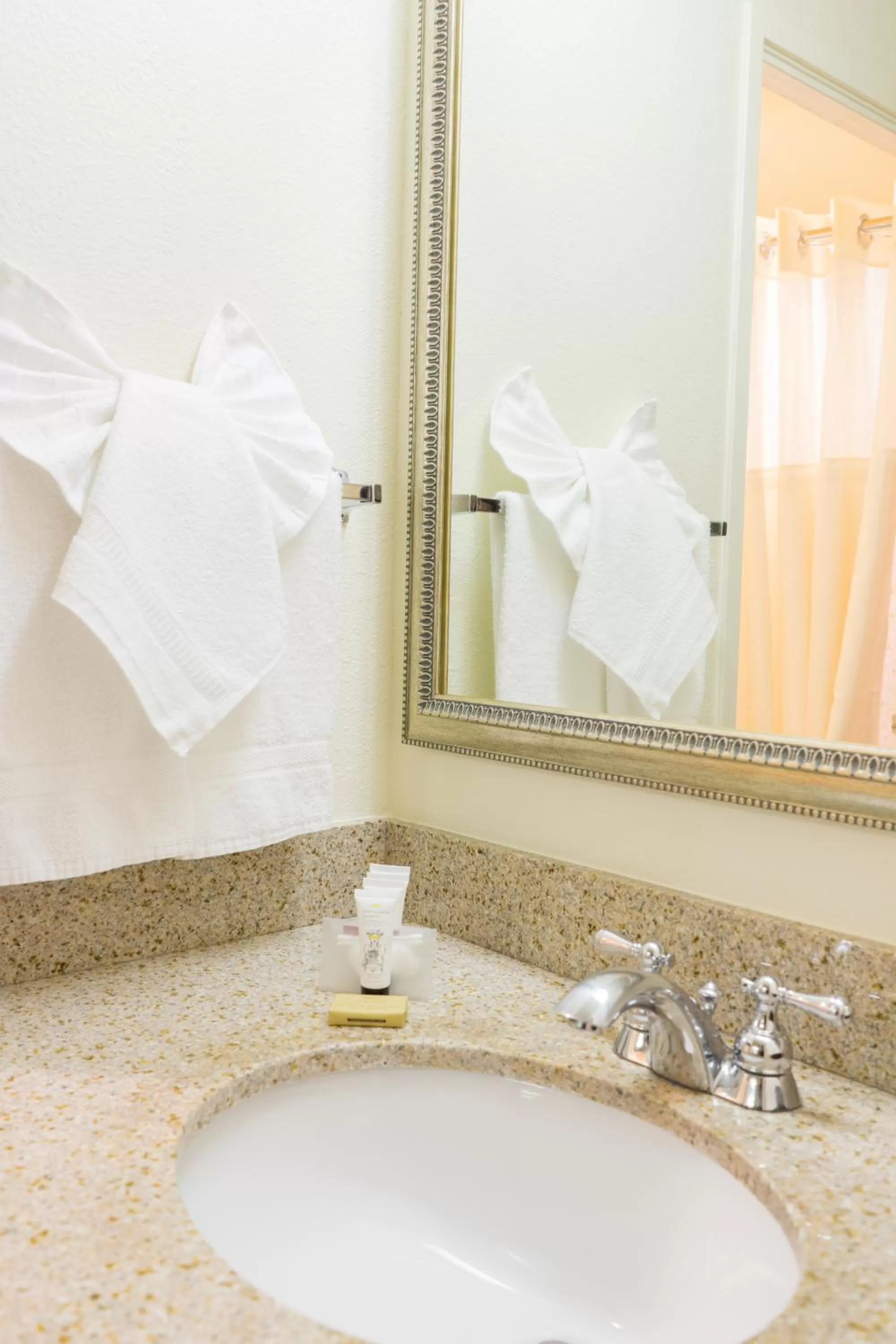 Deluxe King Room in Oakland Airport Executive Hotel