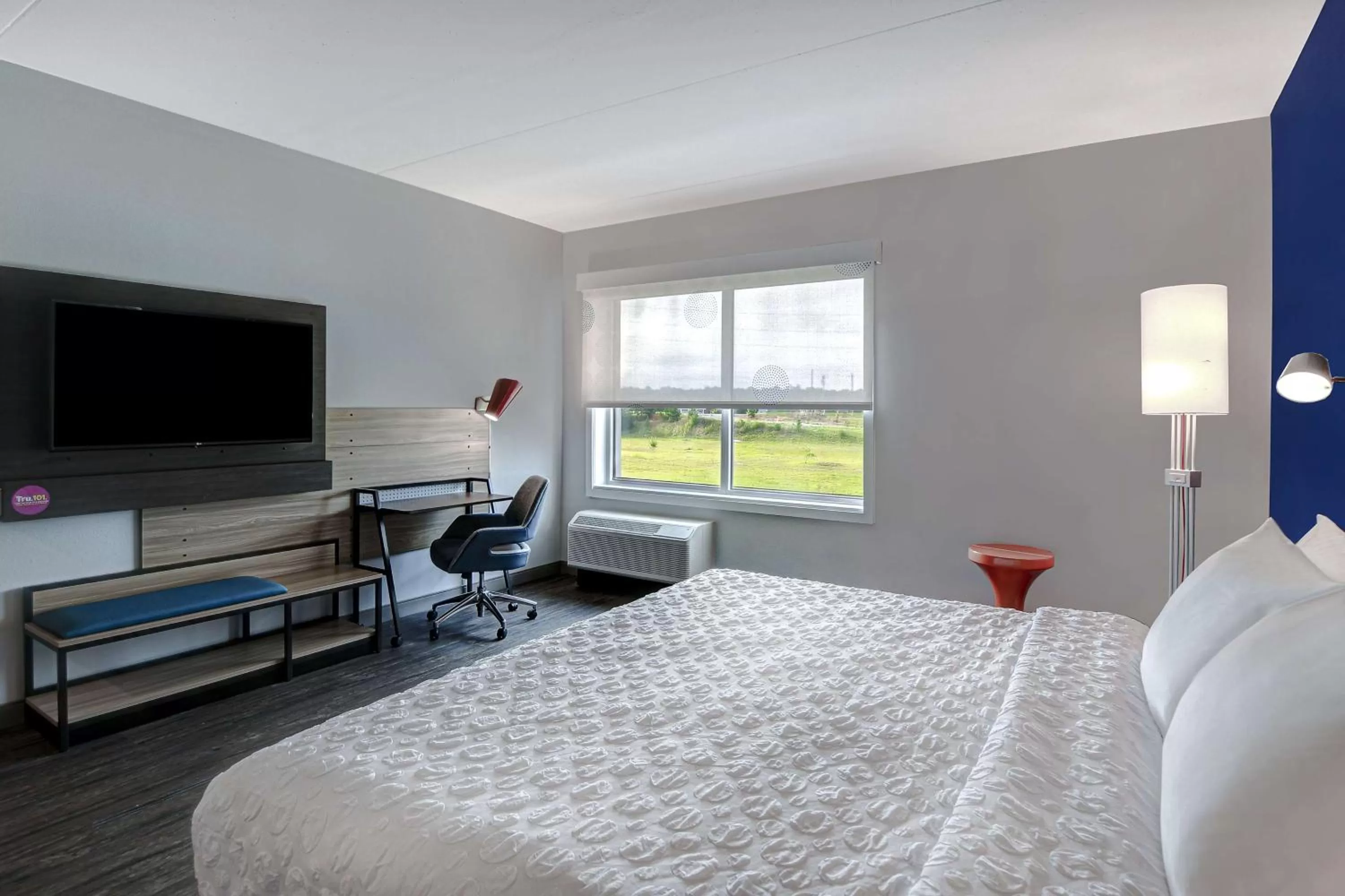 King Room - Hearing Accessible in Tru By Hilton Macon North, Ga