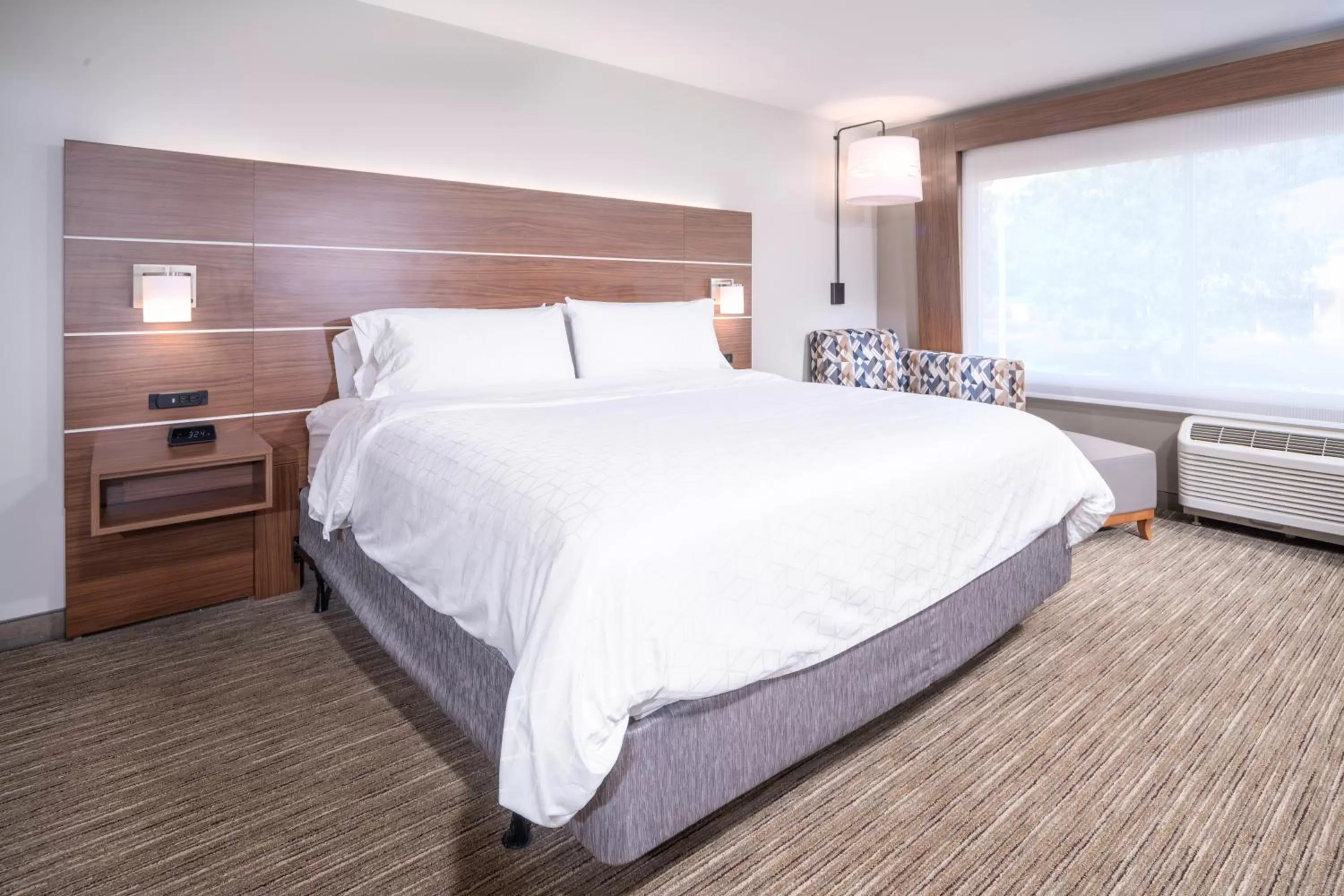 King Suite with Sofa Bed in Holiday Inn Express - Brevard by IHG