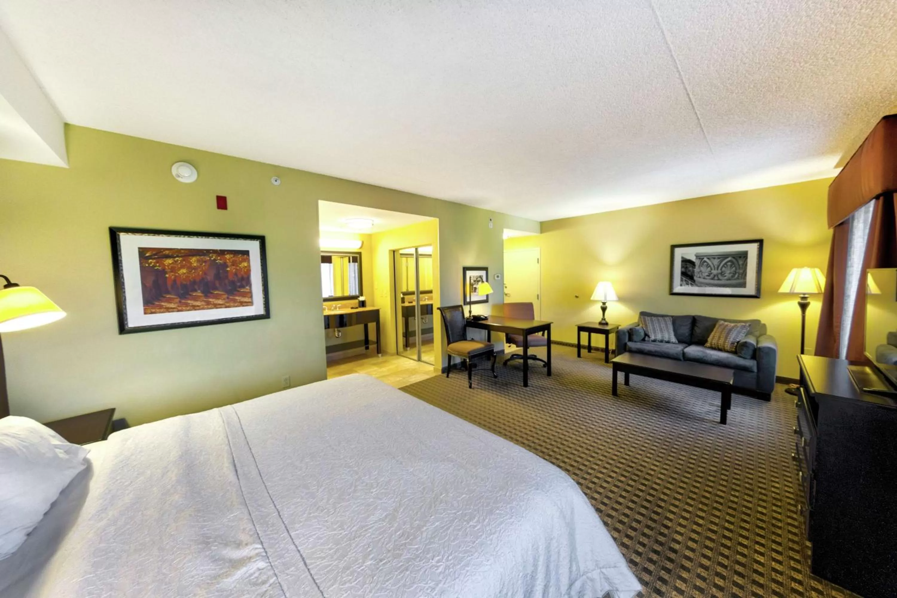 King Studio with Sofa Bed - Non-Smoking in Hampton Inn & Suites Chadds Ford