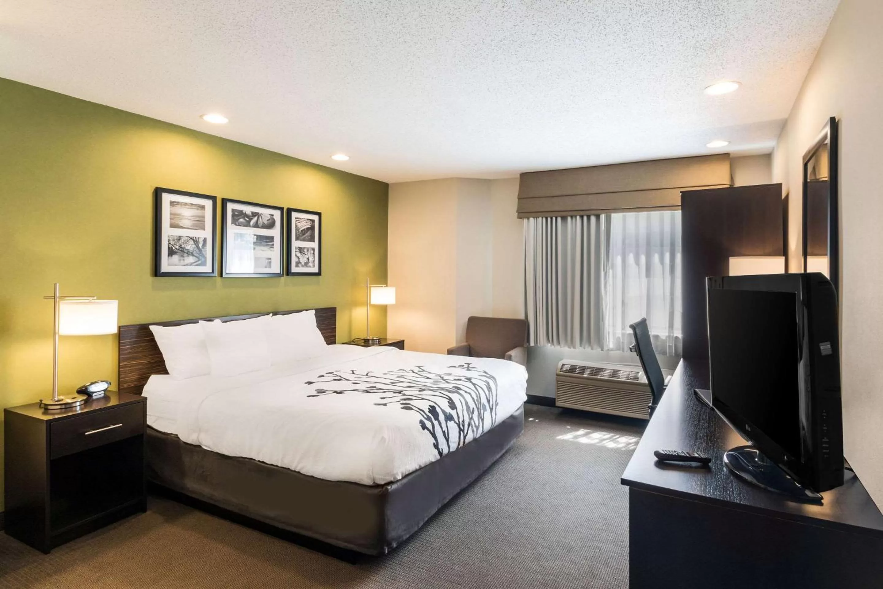 King Room in Sleep Inn & Suites Niantic North