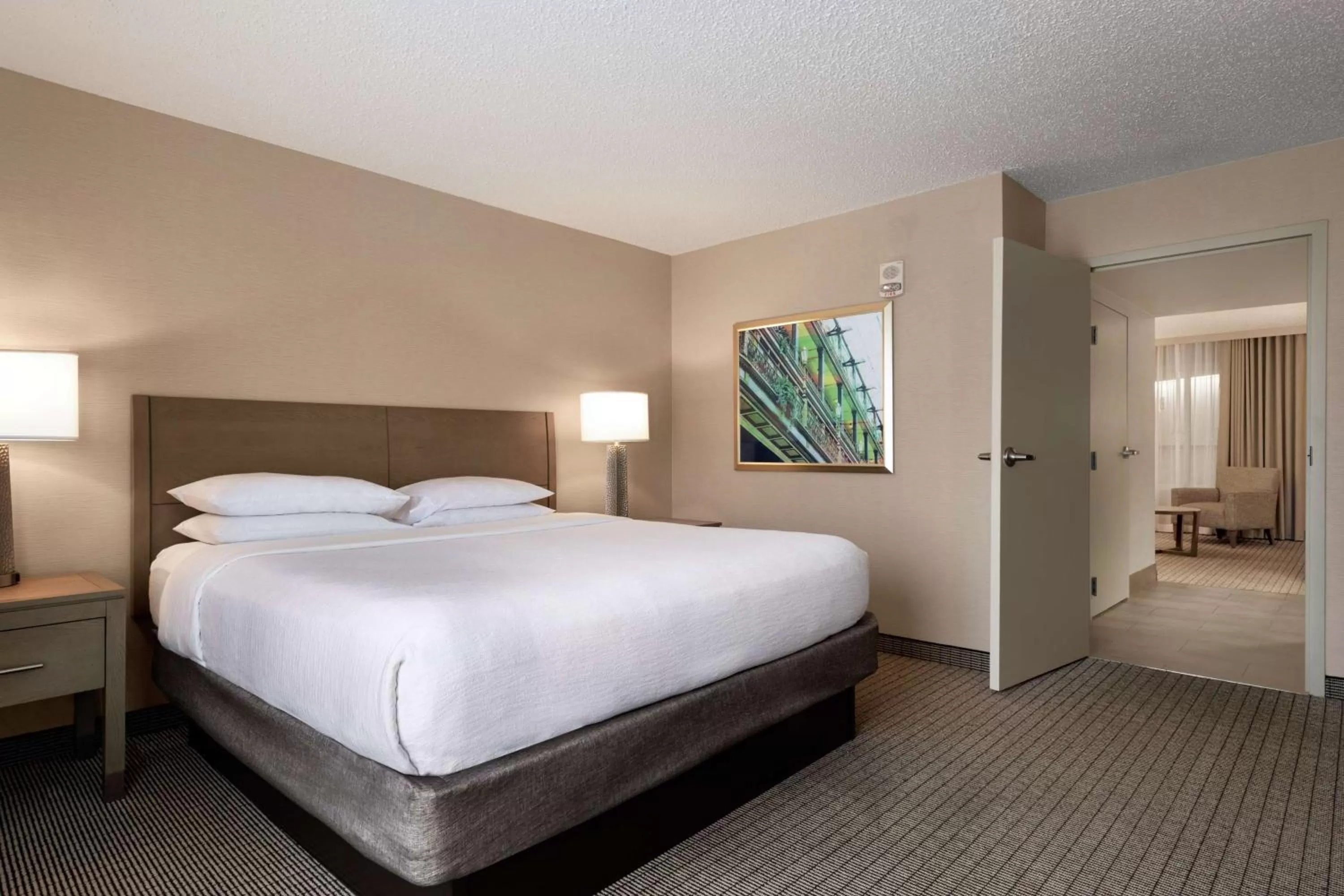 Two-Room King Suite - Non-Smoking in Embassy Suites by Hilton Cleveland Rockside