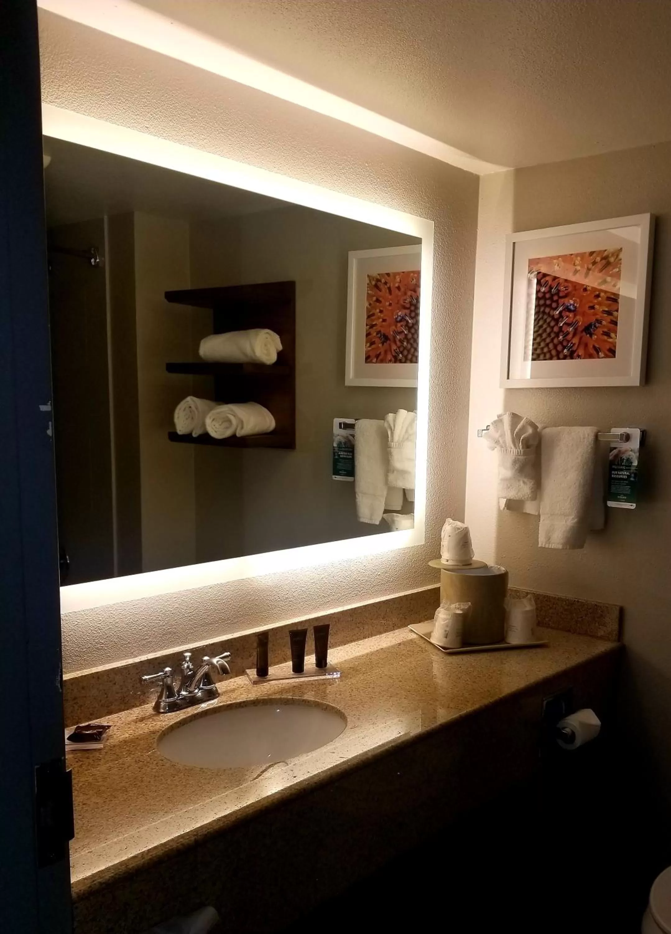 Deluxe King Suite in Wingate by Wyndham - DFW North