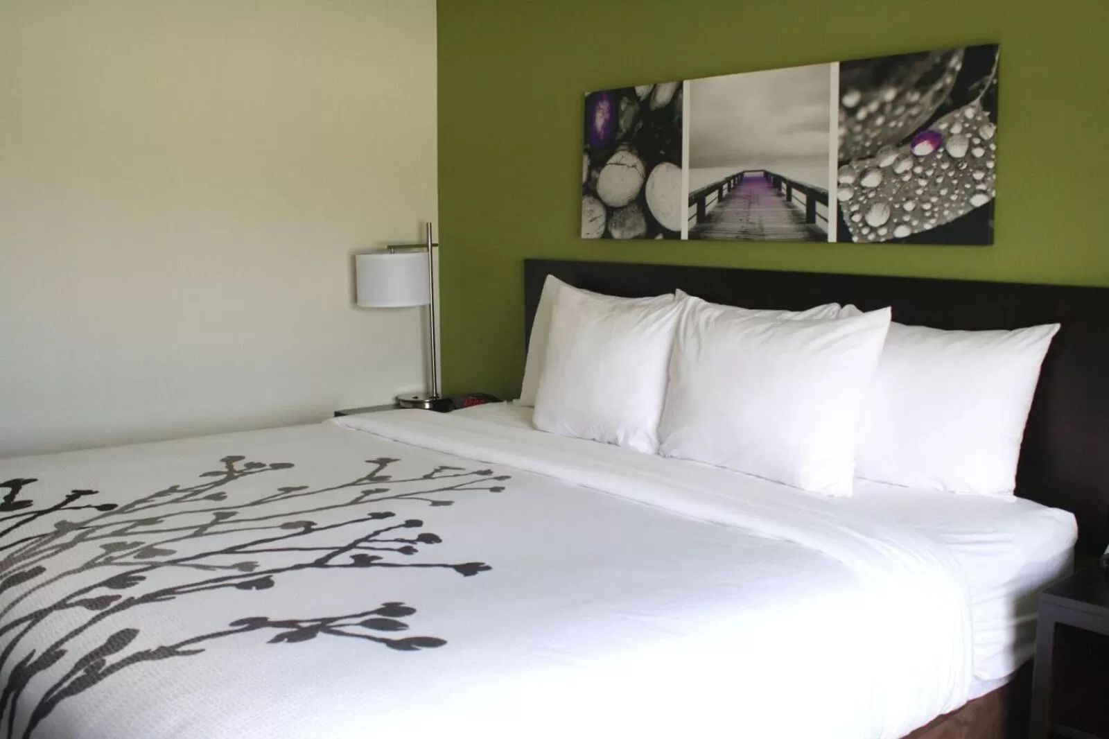 King Room - Non-Smoking in Sleep Inn & Suites Galion
