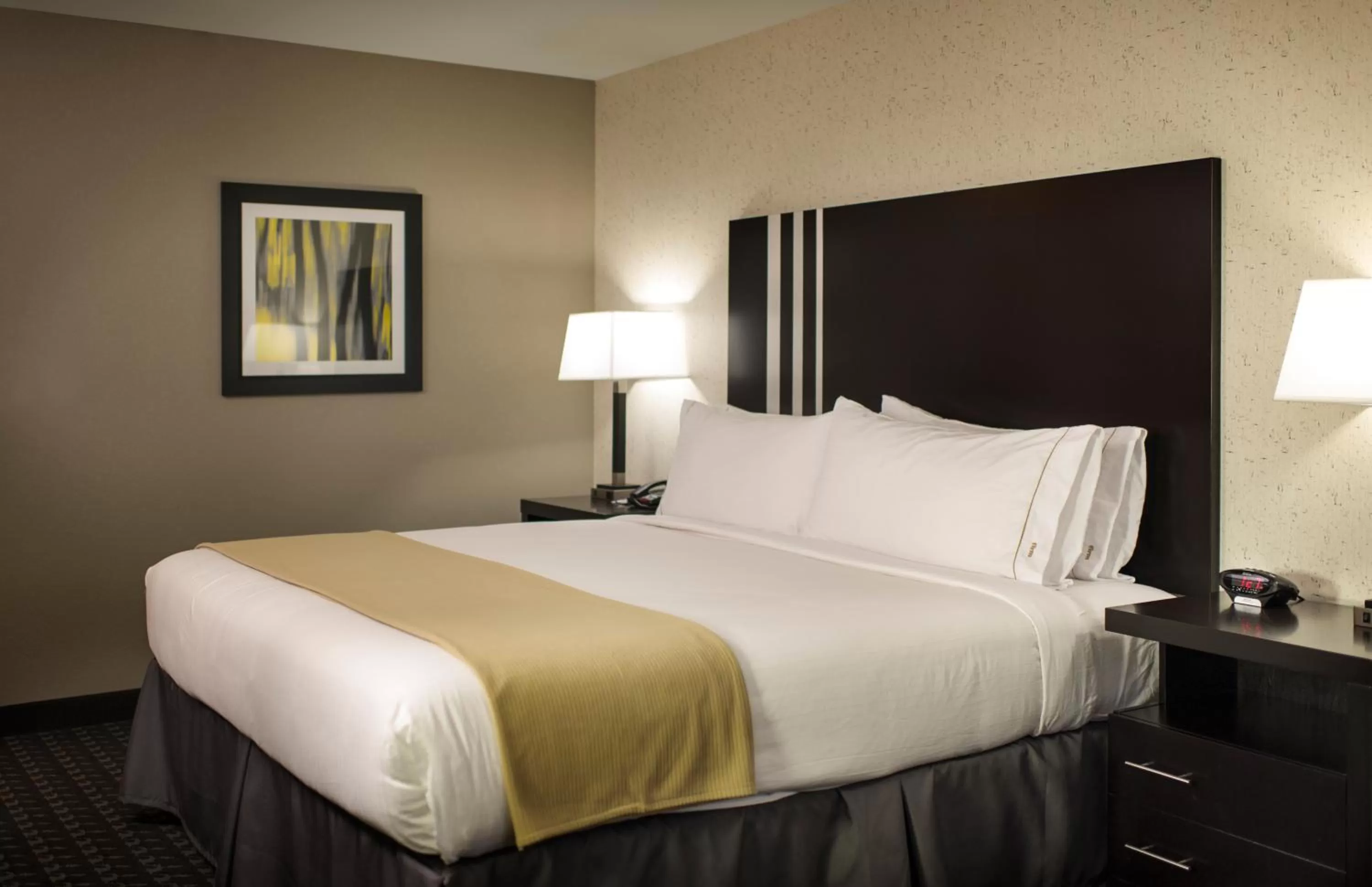 Executive Suite in Holiday Inn Express and Suites Madison Central by IHG