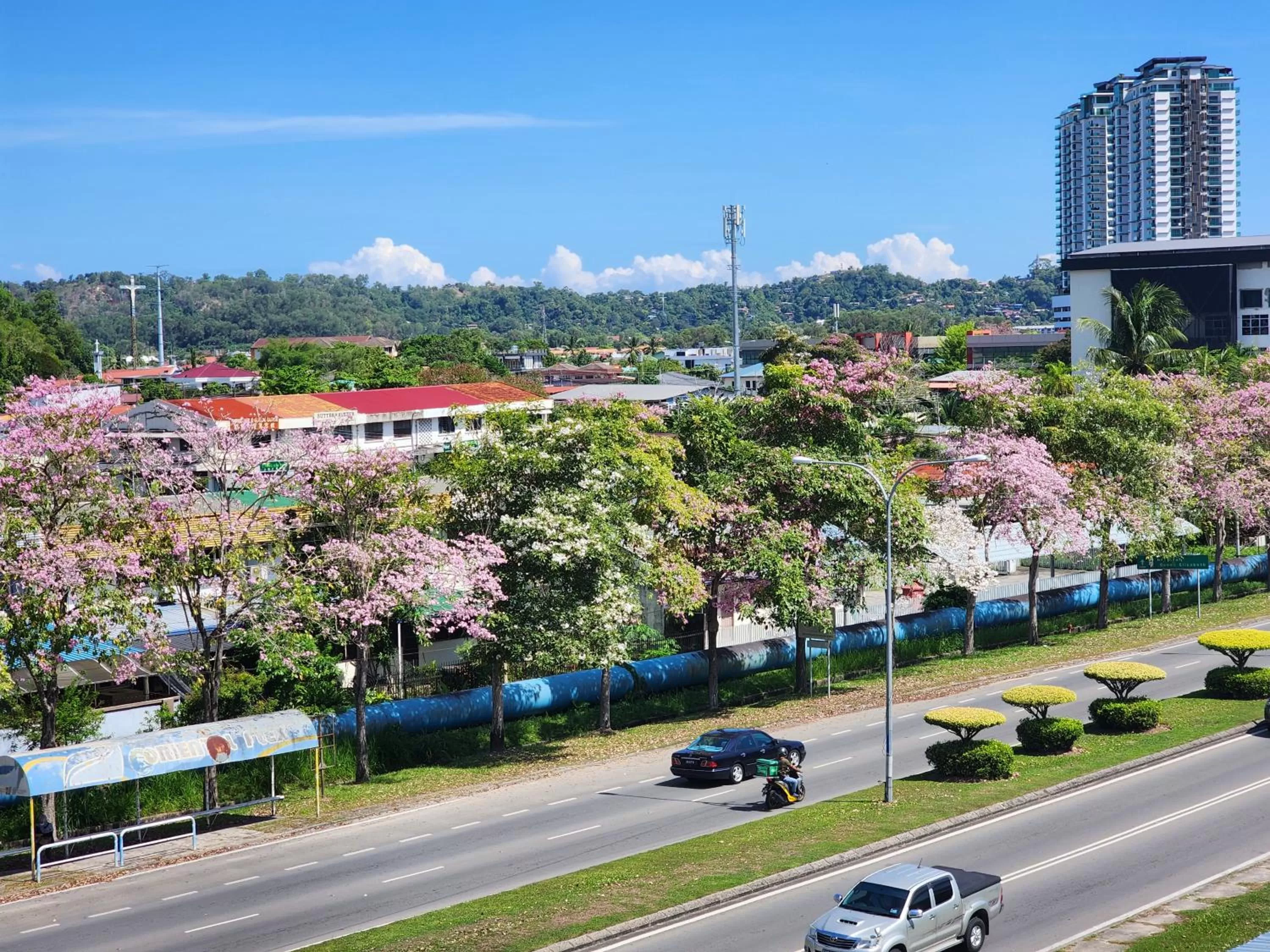 Superior Suite in Y Hotel