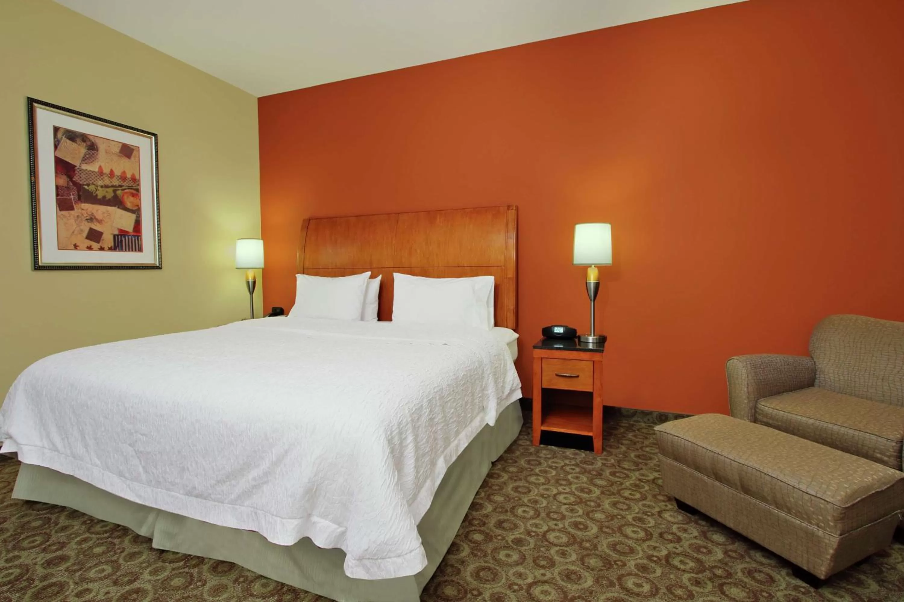 King Room with Roll-In Shower - Mobility and Hearing Access/Non-Smoking in Hampton Inn & Suites Buffalo