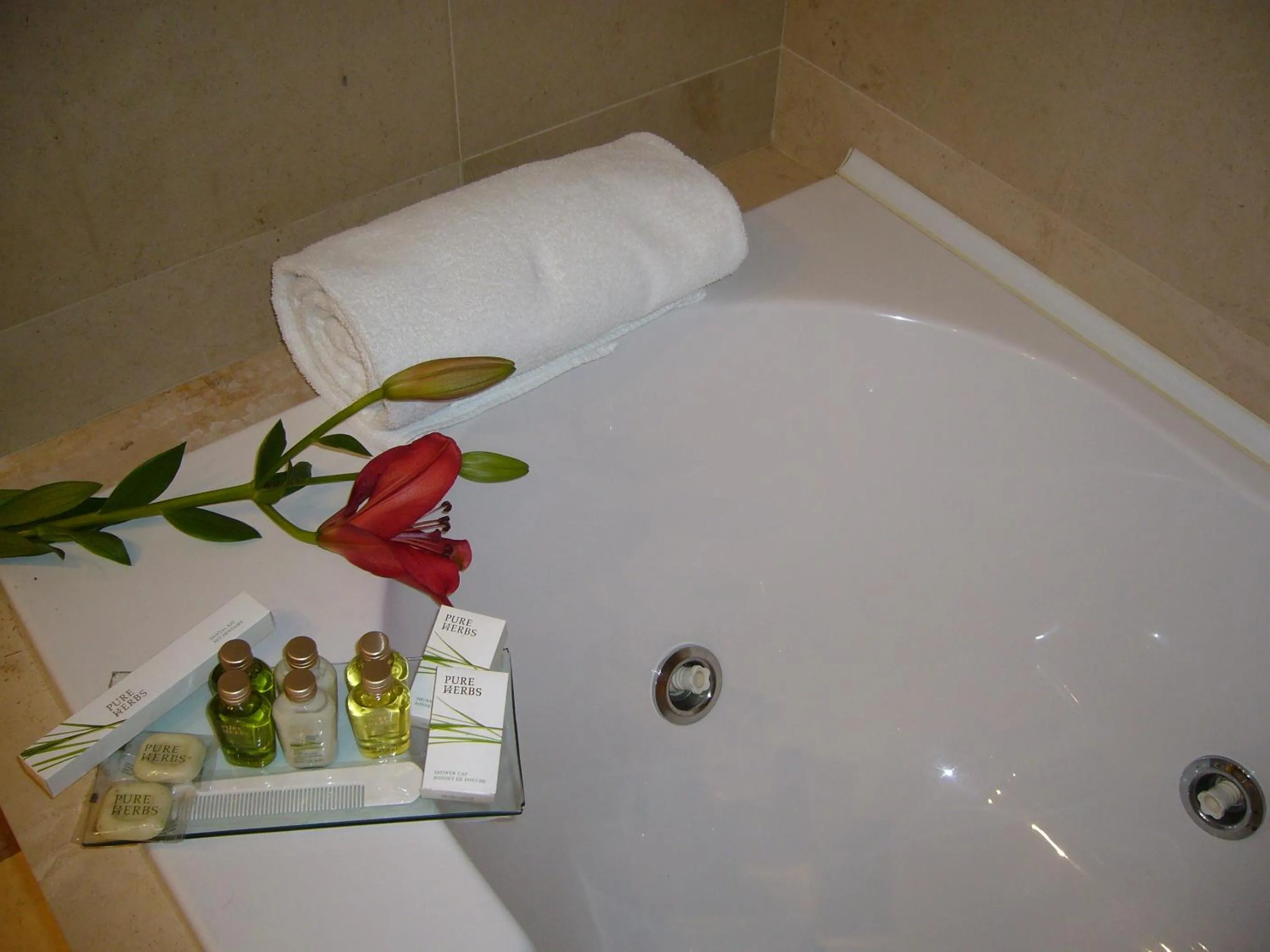 Double or Twin Room in Hotel Torre de Sila