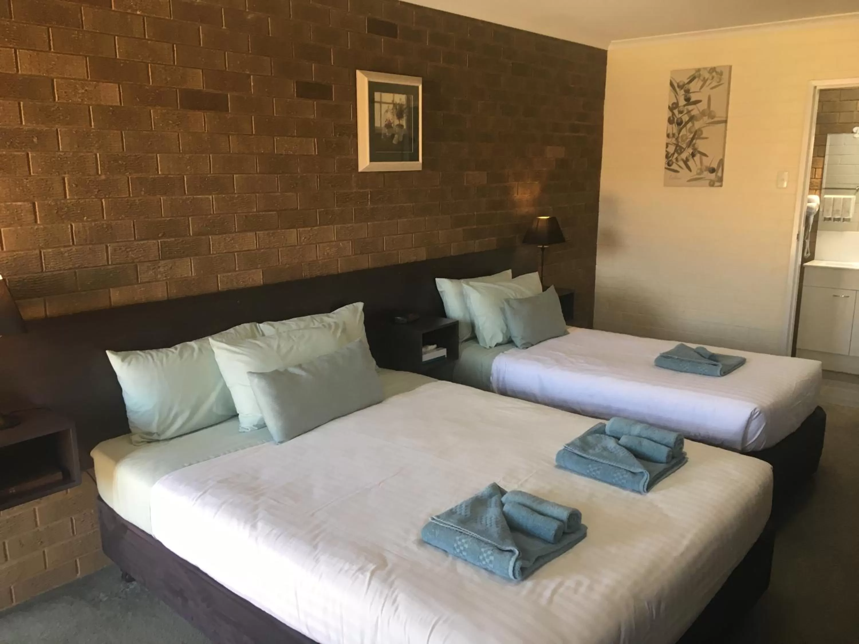 Standard Double or Twin Room in Camellia Motel