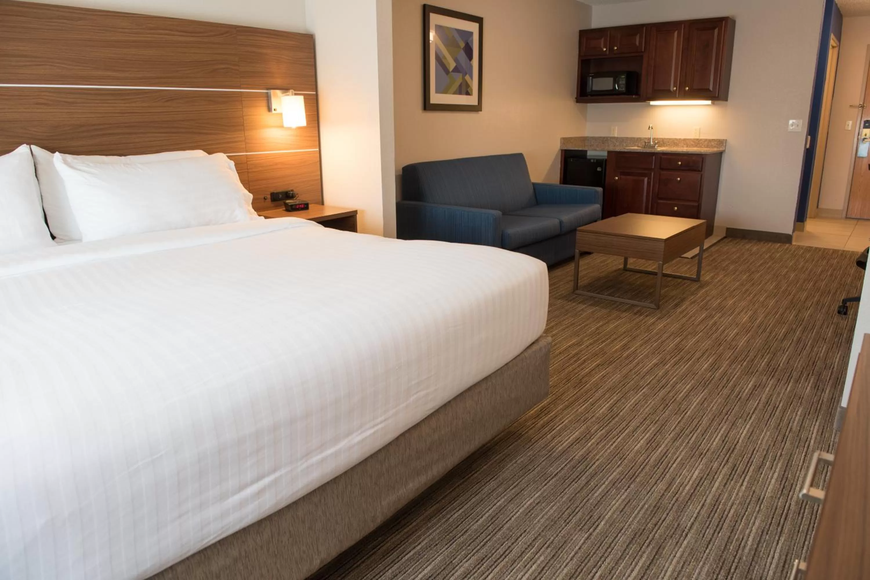 One-Bedroom King Suite with Sofa Bed in Holiday Inn Express Hotel & Suites Elkhart-South by IHG