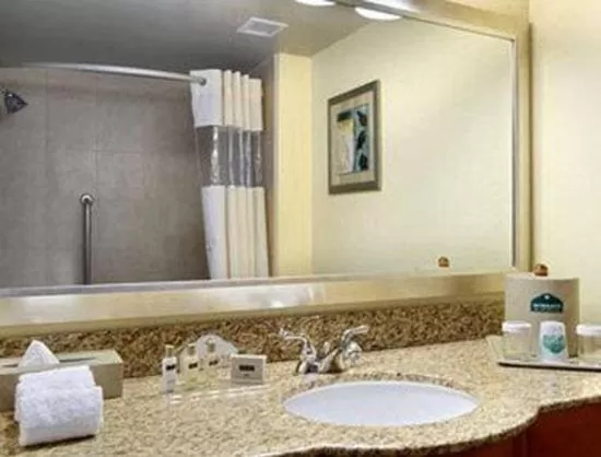 Deluxe King Room - Non-Smoking in Wingate by Wyndham Richmond Short Pump