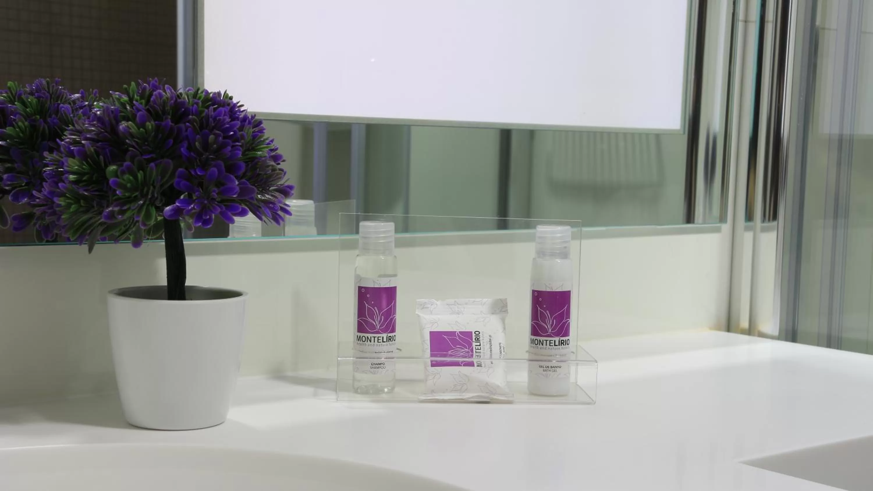 Family Room in Hotel Monte Lírio