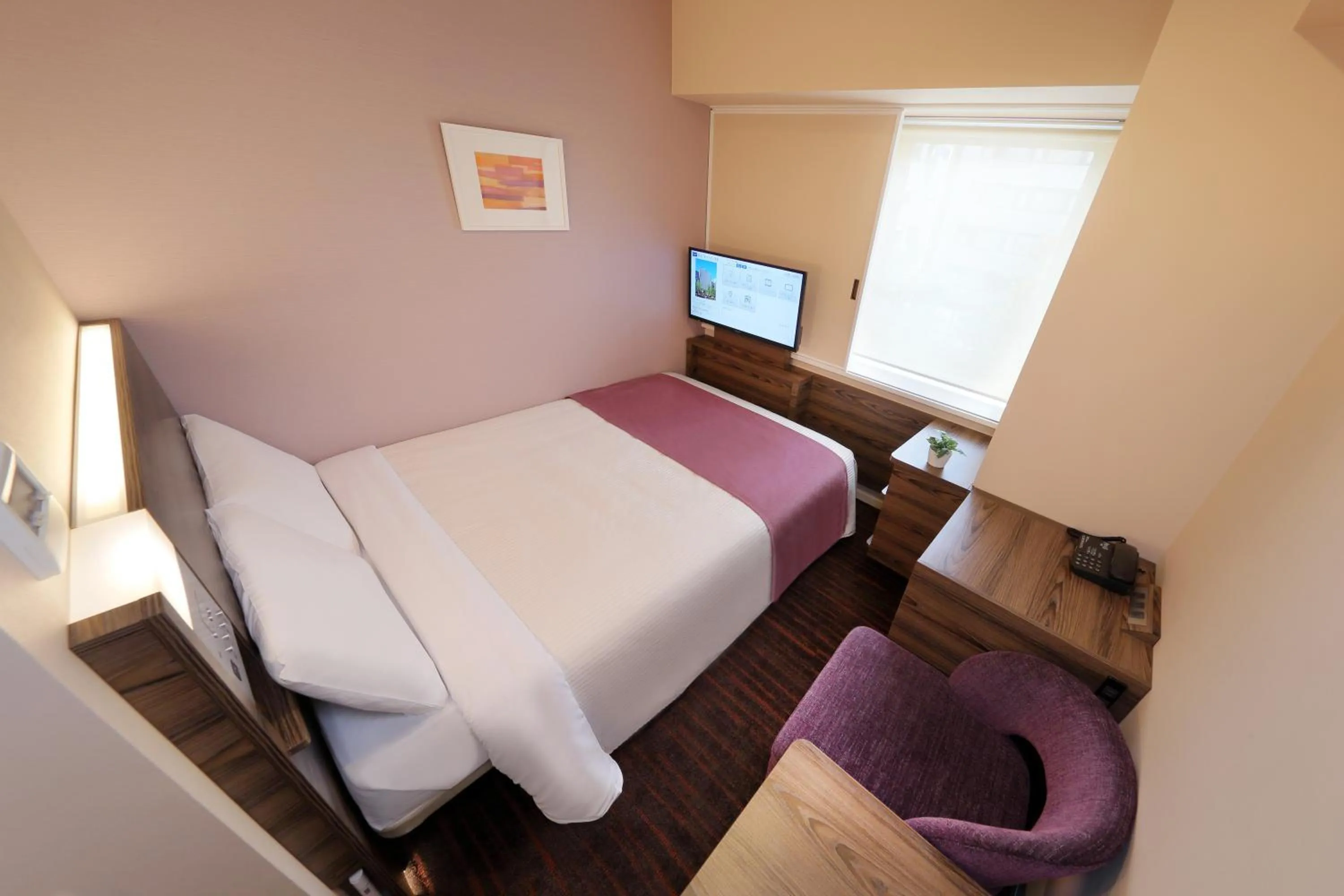 Double Room with Small Double Bed - Smoking in Keio Presso Inn Ikebukuro