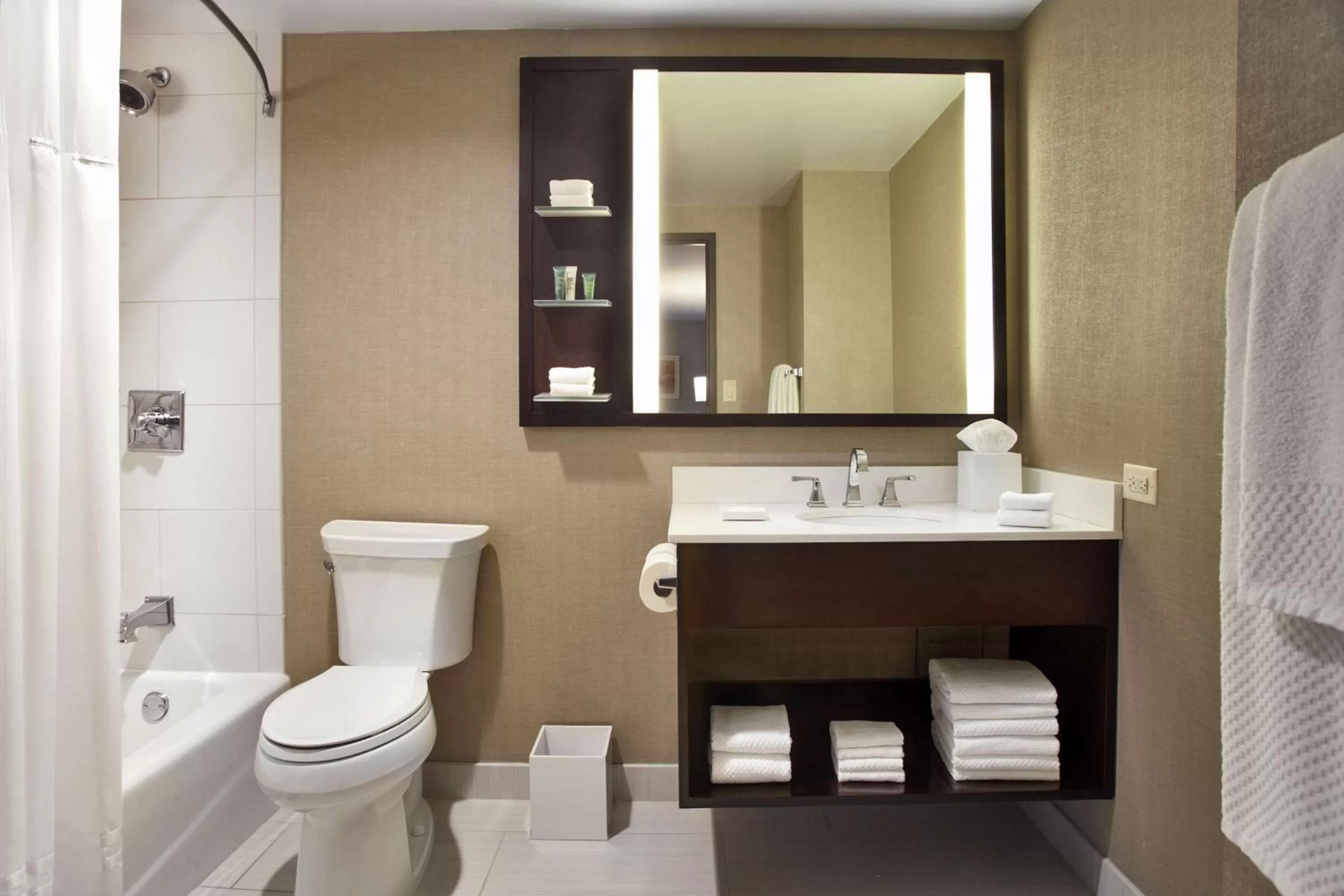 King Room in Hilton Chicago