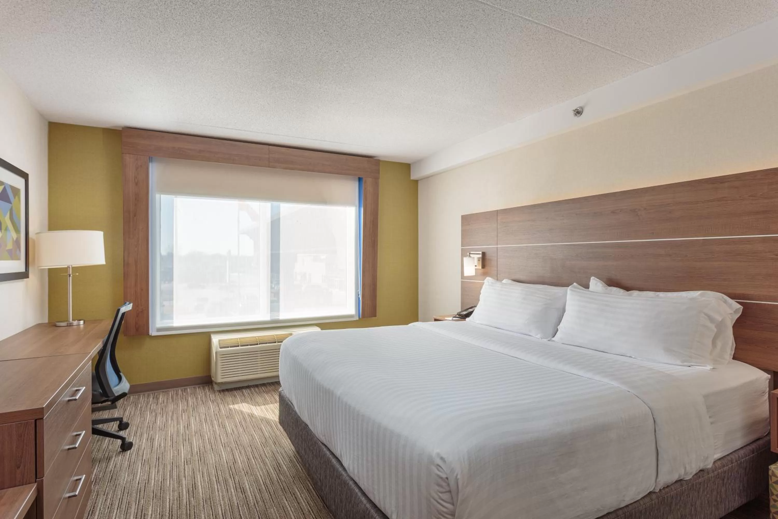 Executive King Room - Non-Smoking in Holiday Inn Express & Suites - Belleville, an IHG Hotel