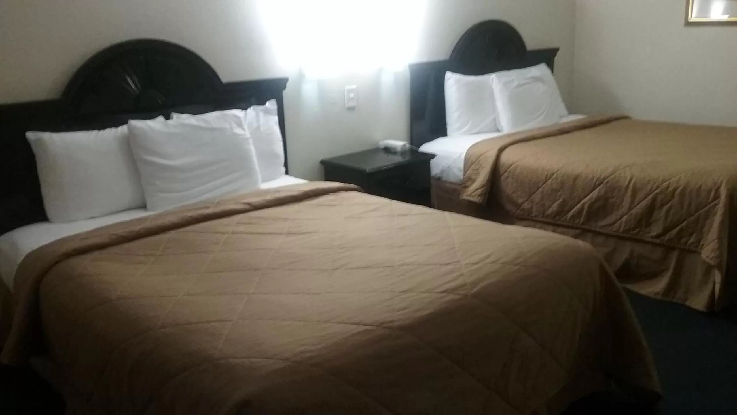 Queen Room with Two Queen Beds in Araamda Inn