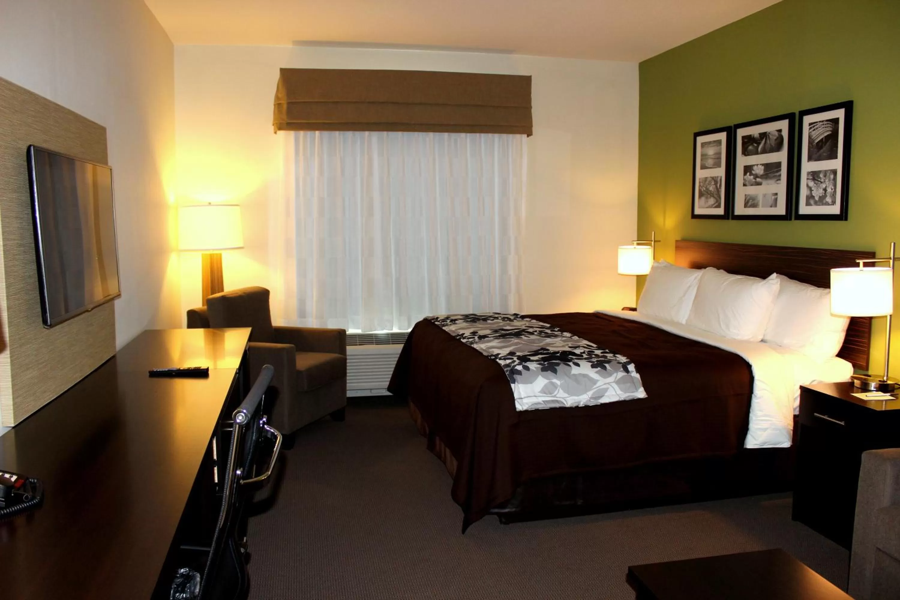 King Room - Accessible/Non-Smoking in Sleep Inn & Suites Odessa near University