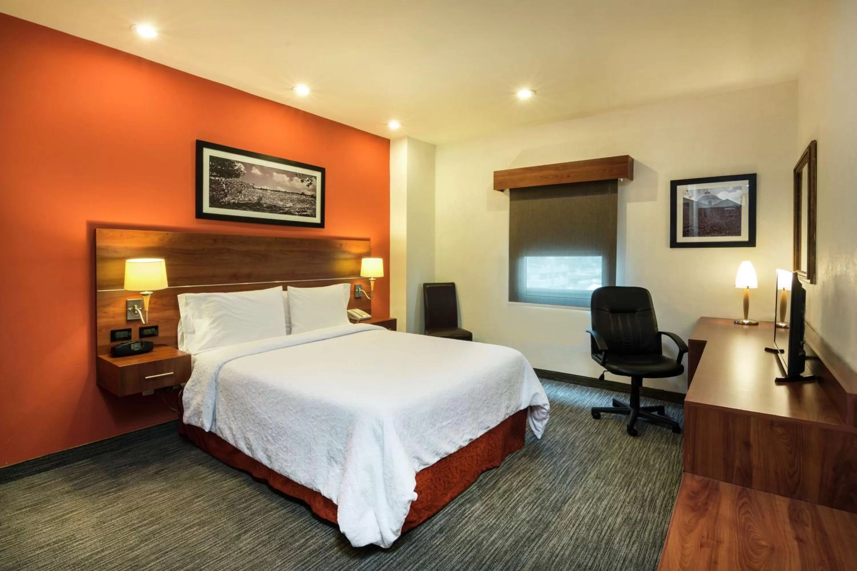 Queen Room - Non-Smoking in Hampton by Hilton San Juan del Rio