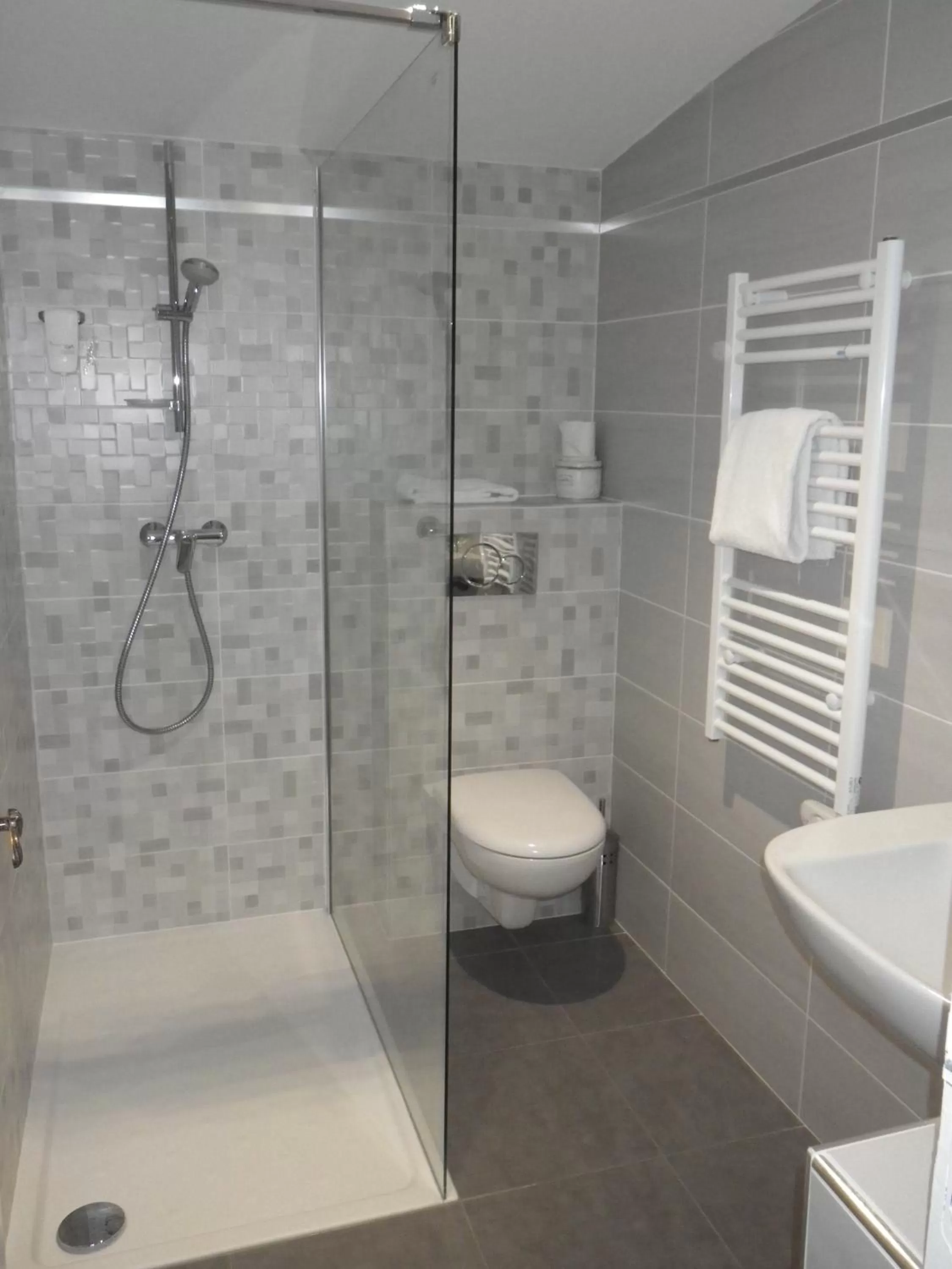 Double Room in Hôtel François 1er