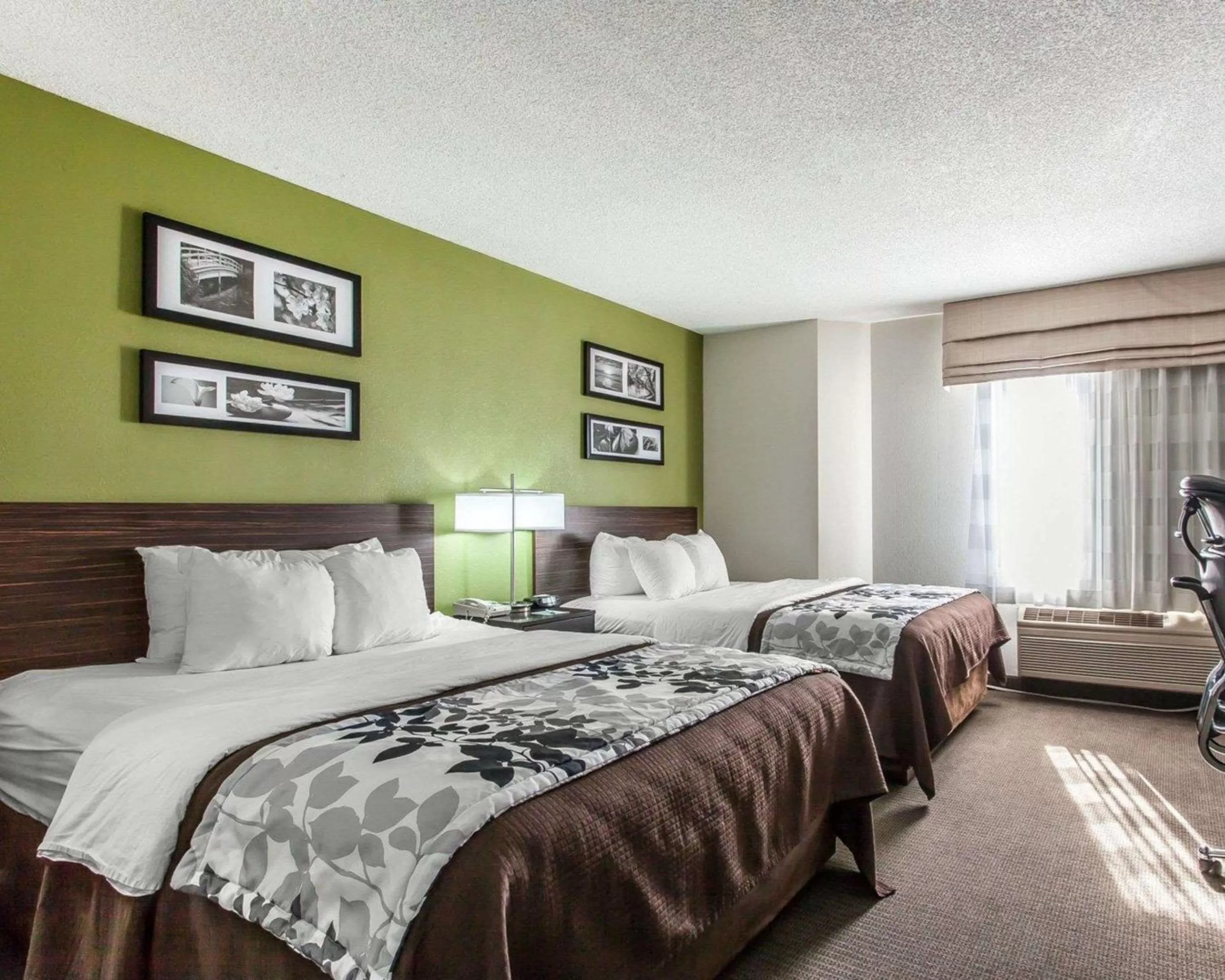 Queen Room - Accessible/Nonsmoking in Sleep Inn & Suites Near I-90 and Ashtabula