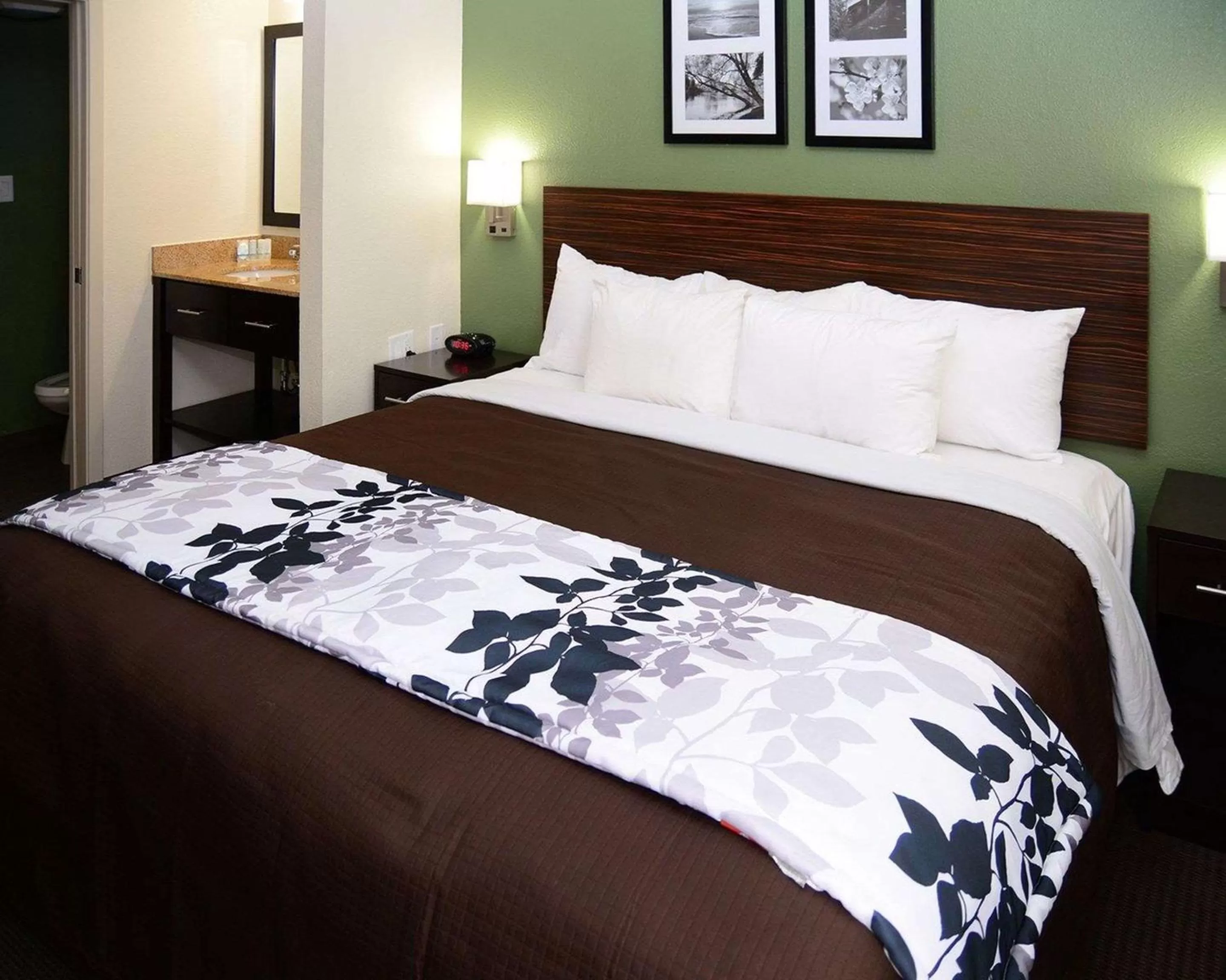 Single Room with Bathroom in Sleep Inn Horn Lake-Southaven