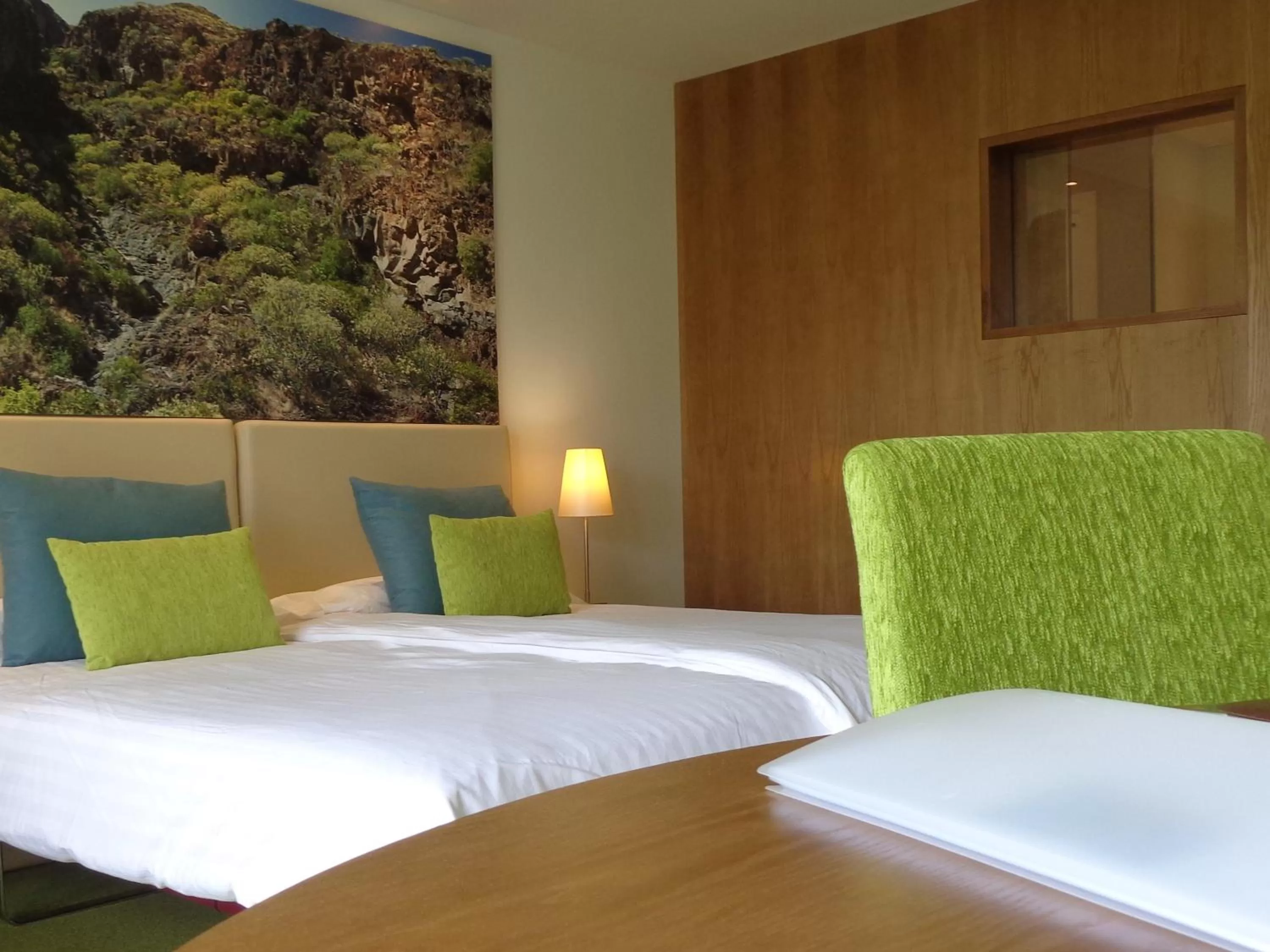 Twin Room with Garden View - single occupancy in Hotel Tigaiga
