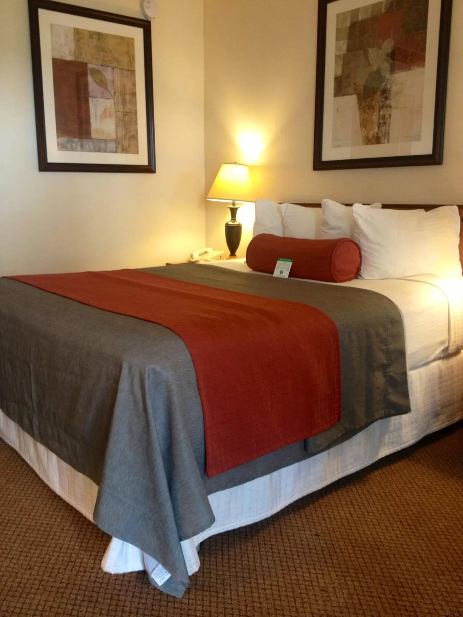 Standard Queen Room in Mikado Hotel